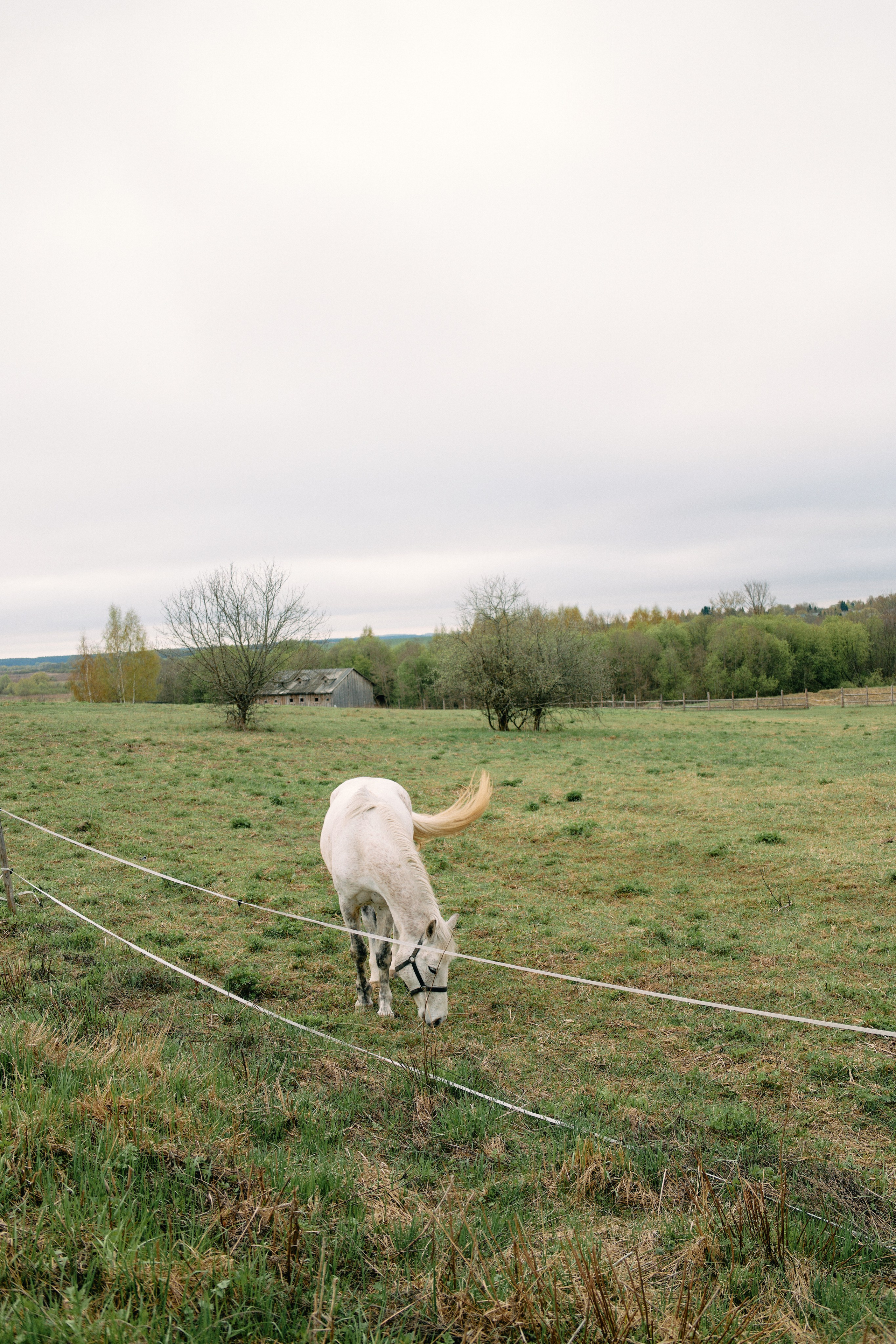 Бутик-отель Поле летом. Профессиональный Фотограф во Владимире, в Москве и в Суздале — Полина Романычева