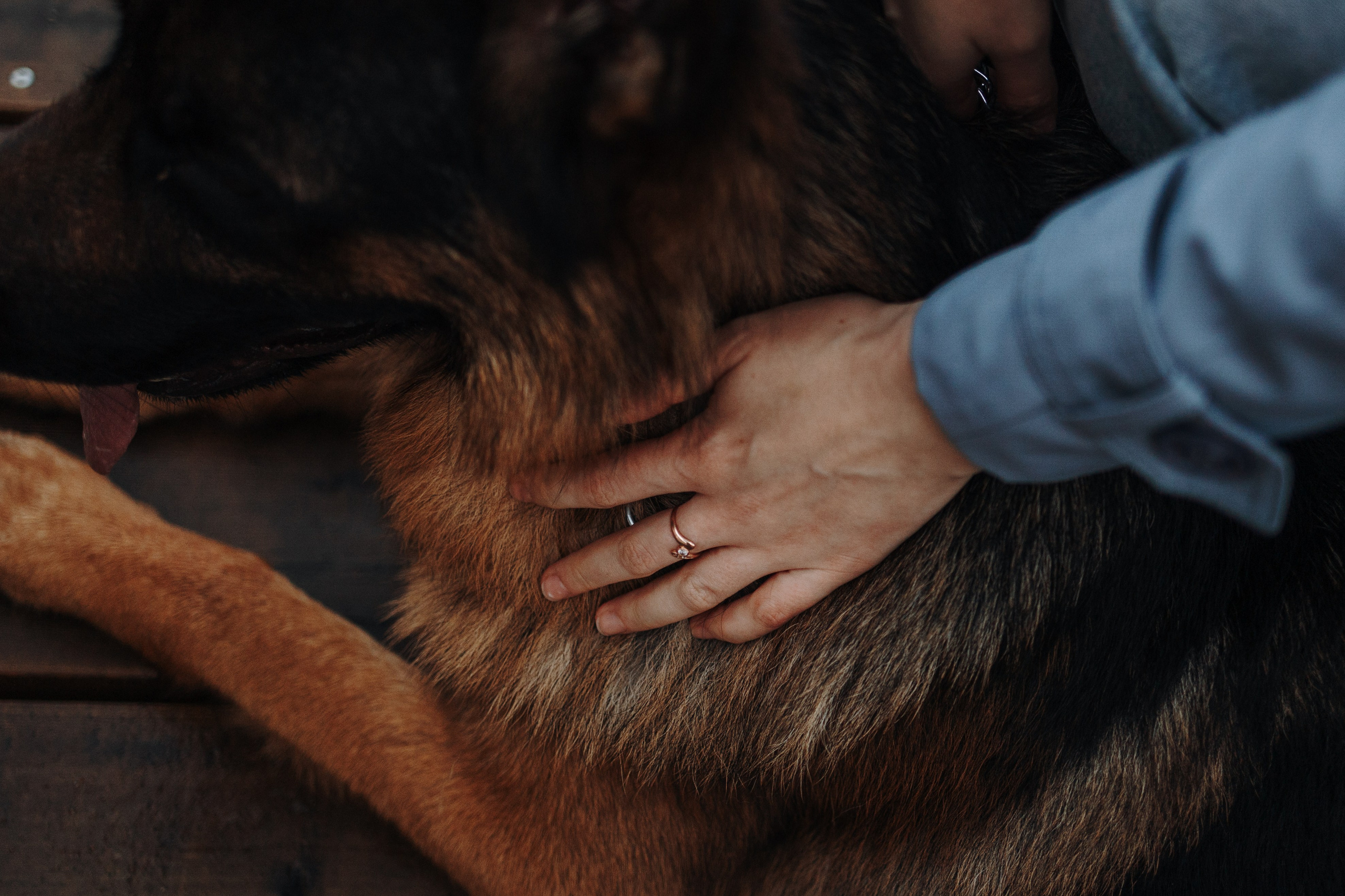 Катя и Агат. Фотограф — Анималист | Санкт-Петербург