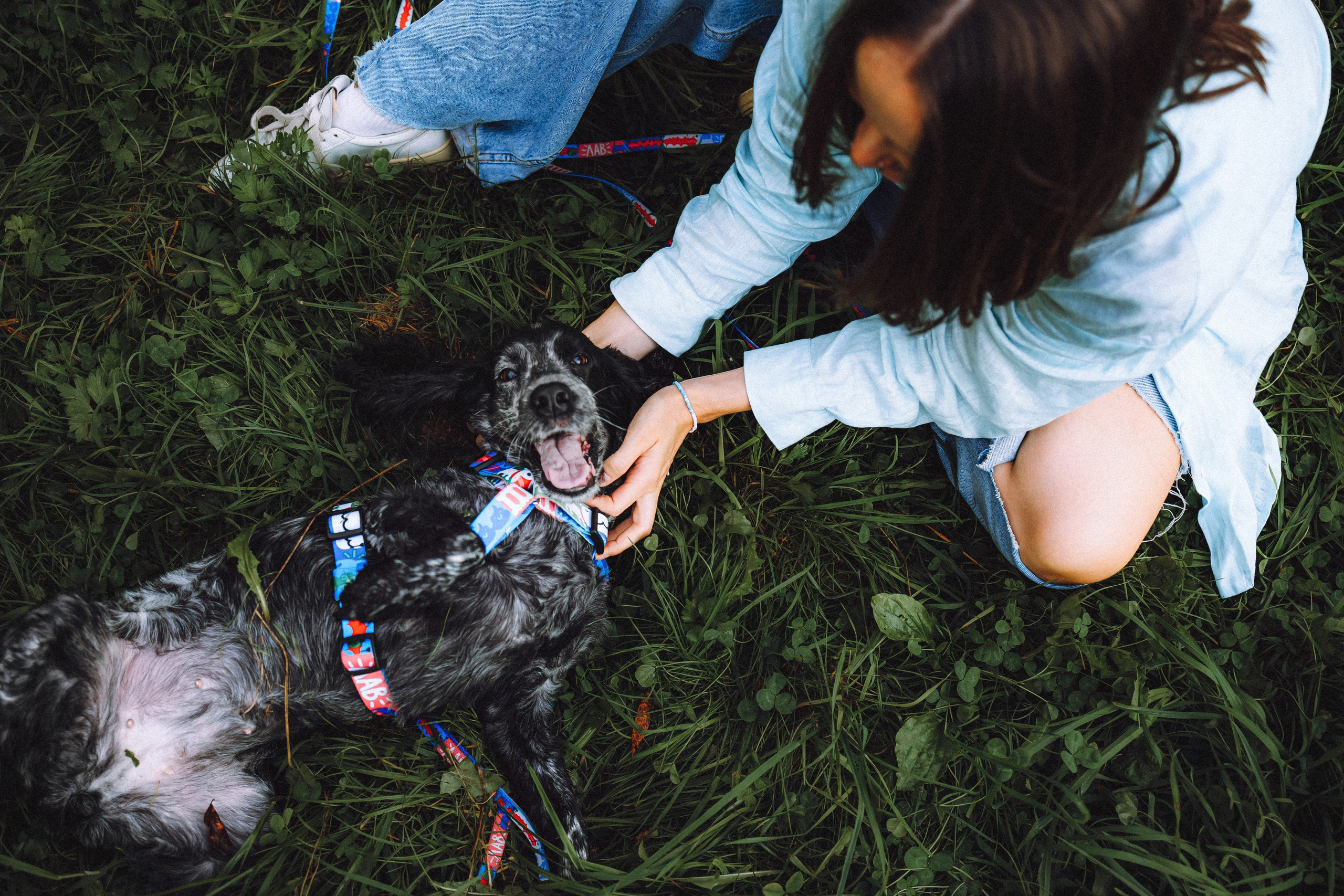 Маша и Ларри