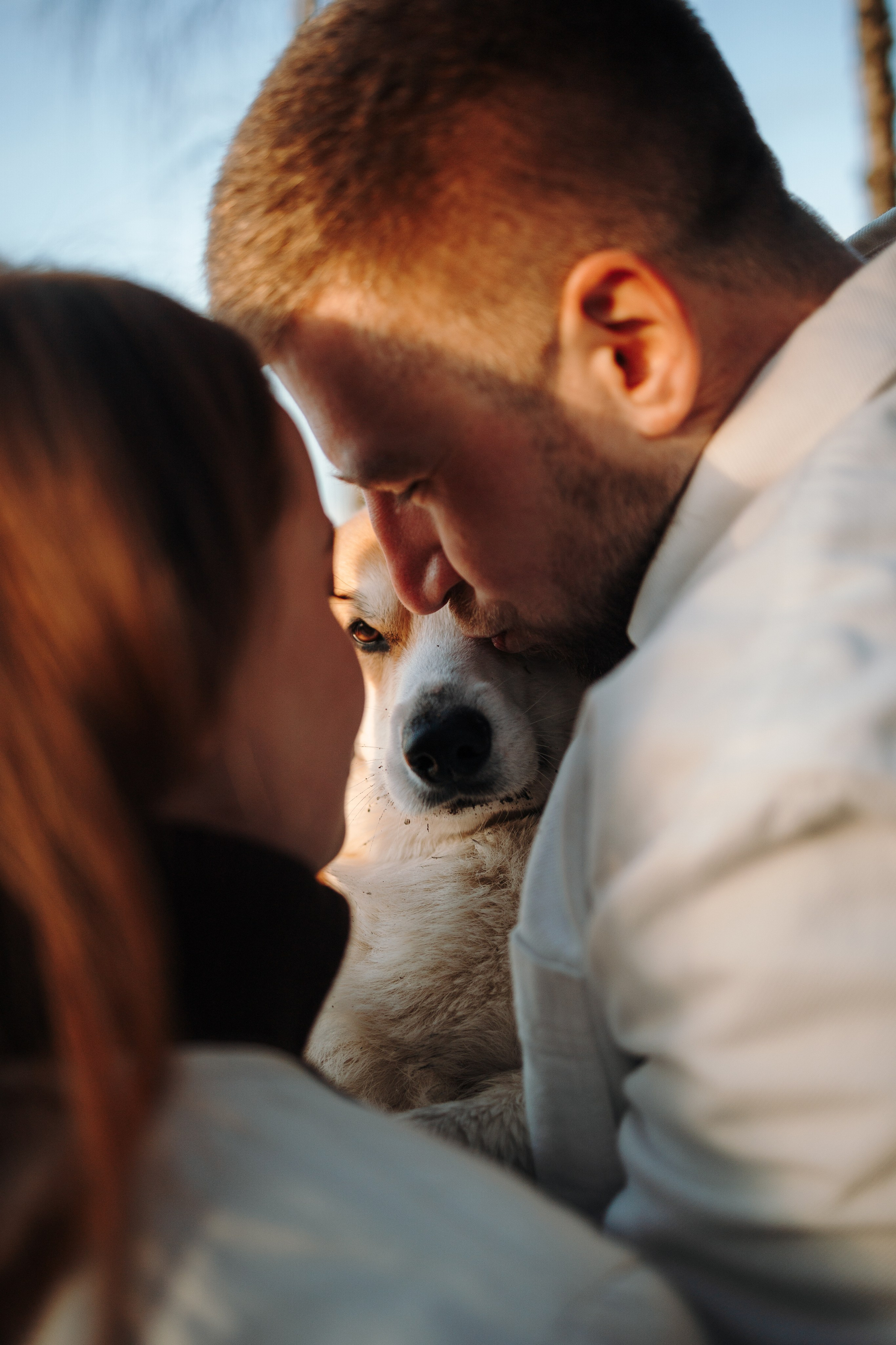 Найт и его семья. Фотограф — Анималист | Санкт-Петербург