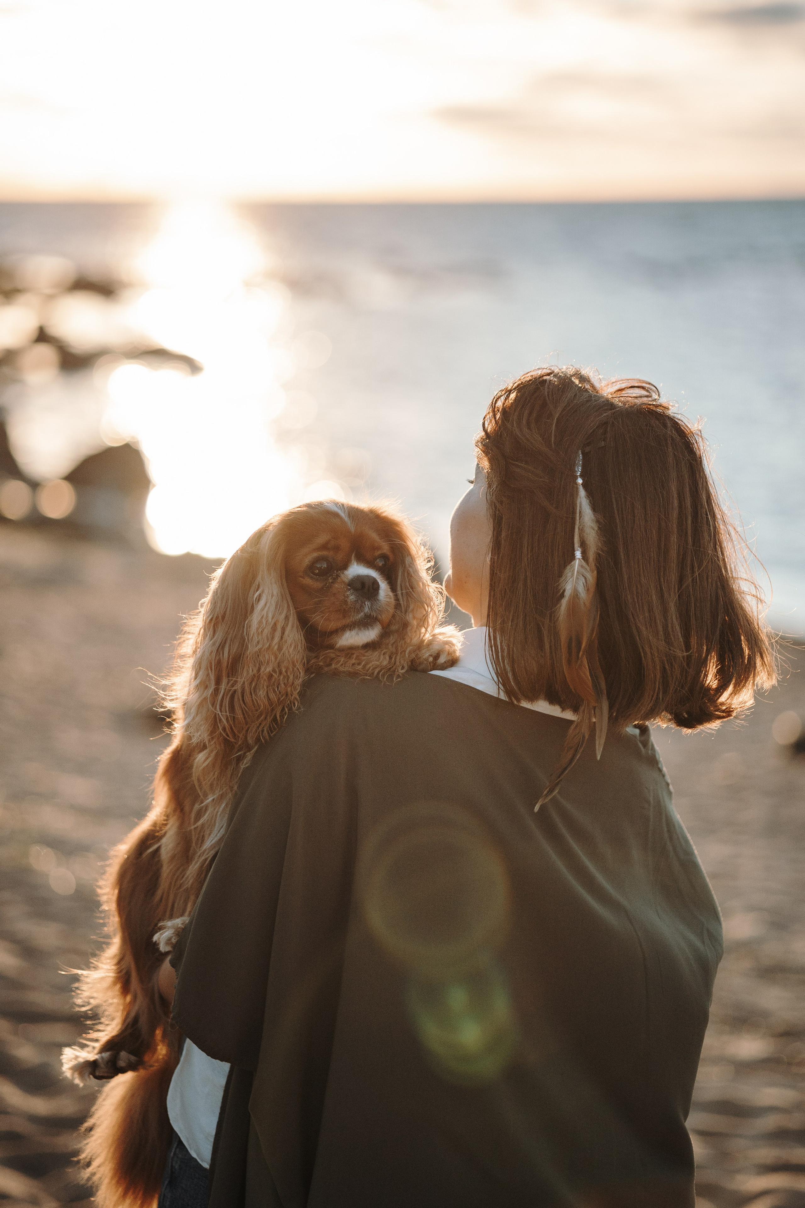 Верон, Гарри и их семья. Фотограф — Анималист | Санкт-Петербург