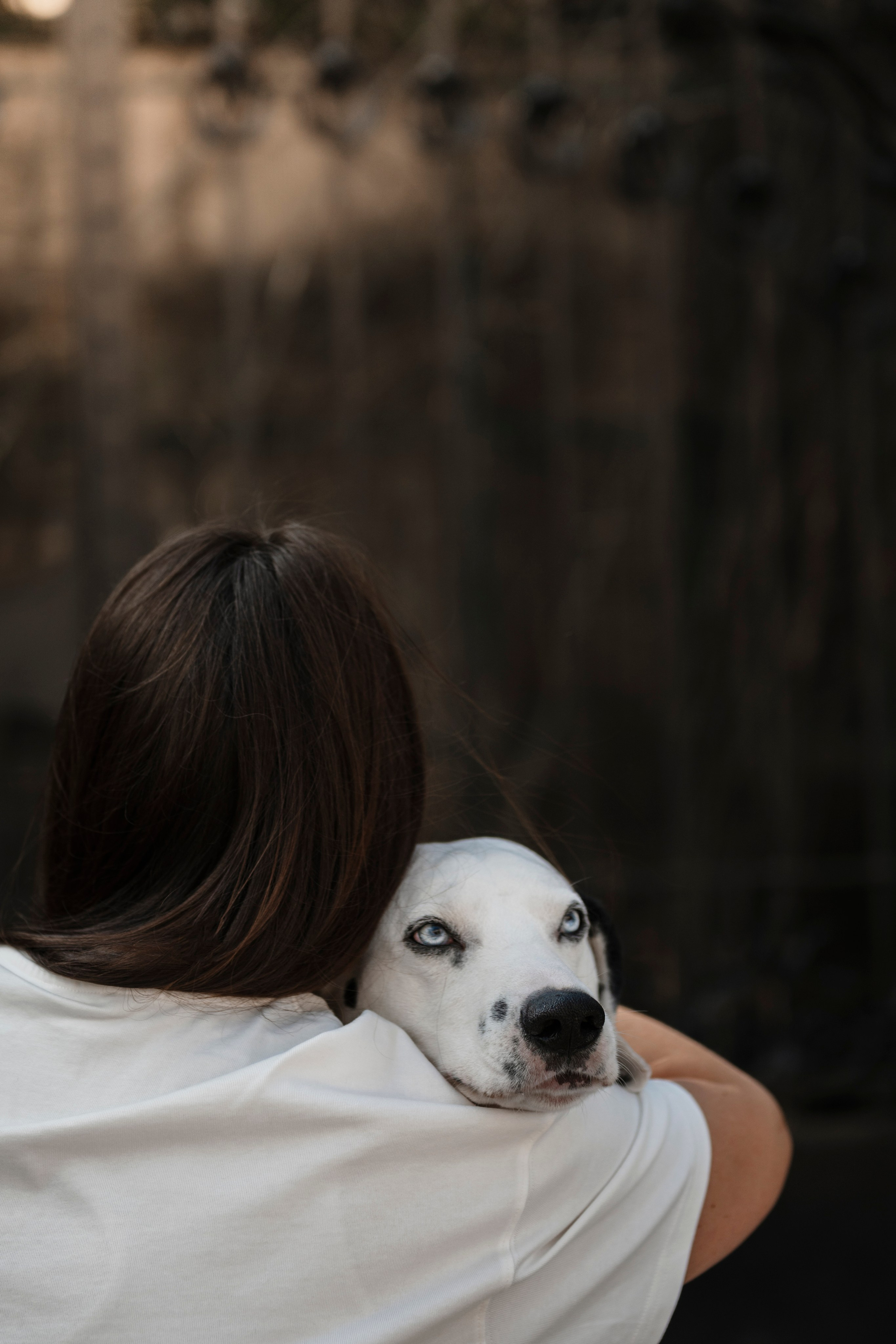 DOGIGO на прогулке. Фотограф анималист в Санкт-Петербурге Таша Крейв