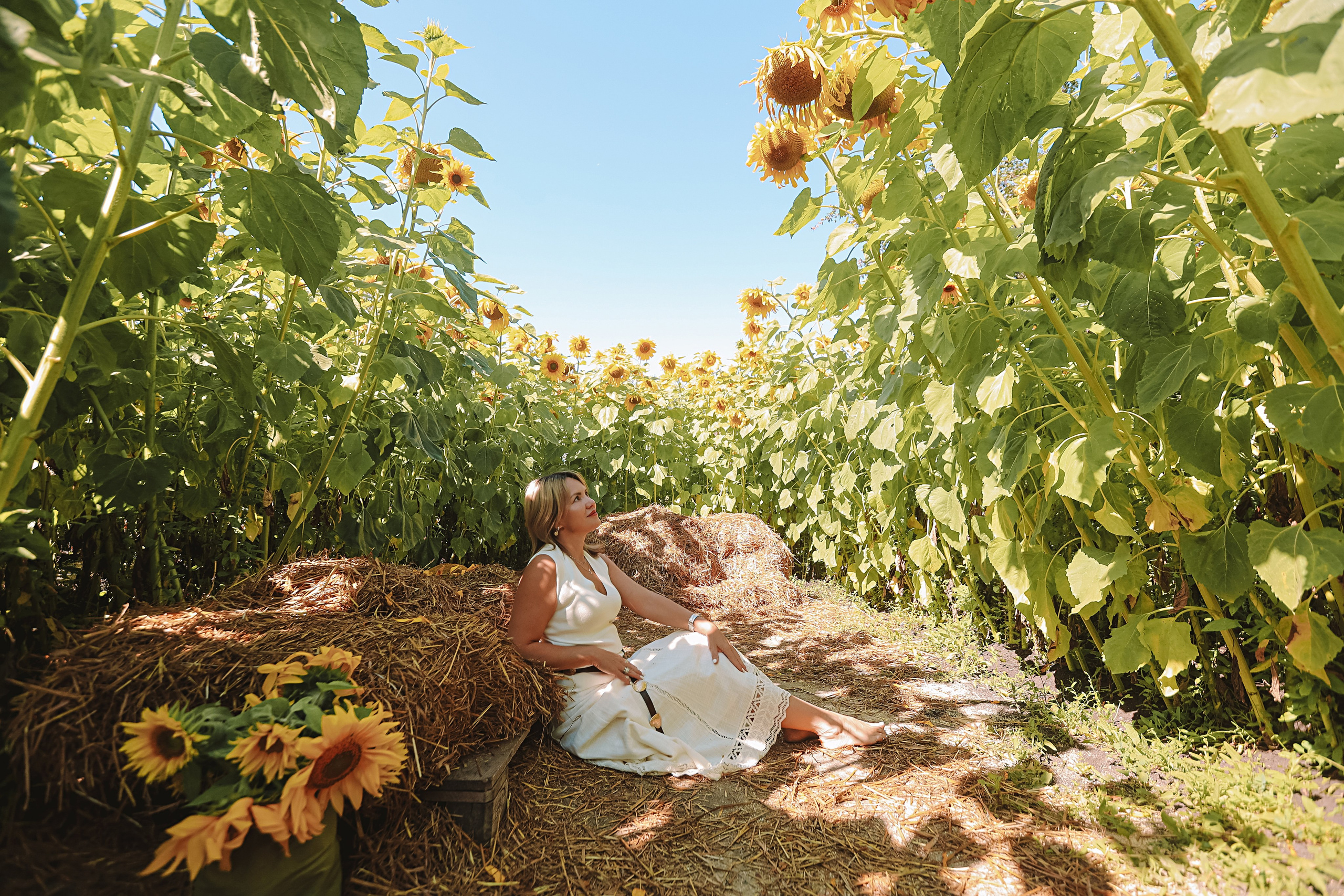 Подсолнухи. Семейный фотограф Тюмень, фотограф на роды Салмина Мария