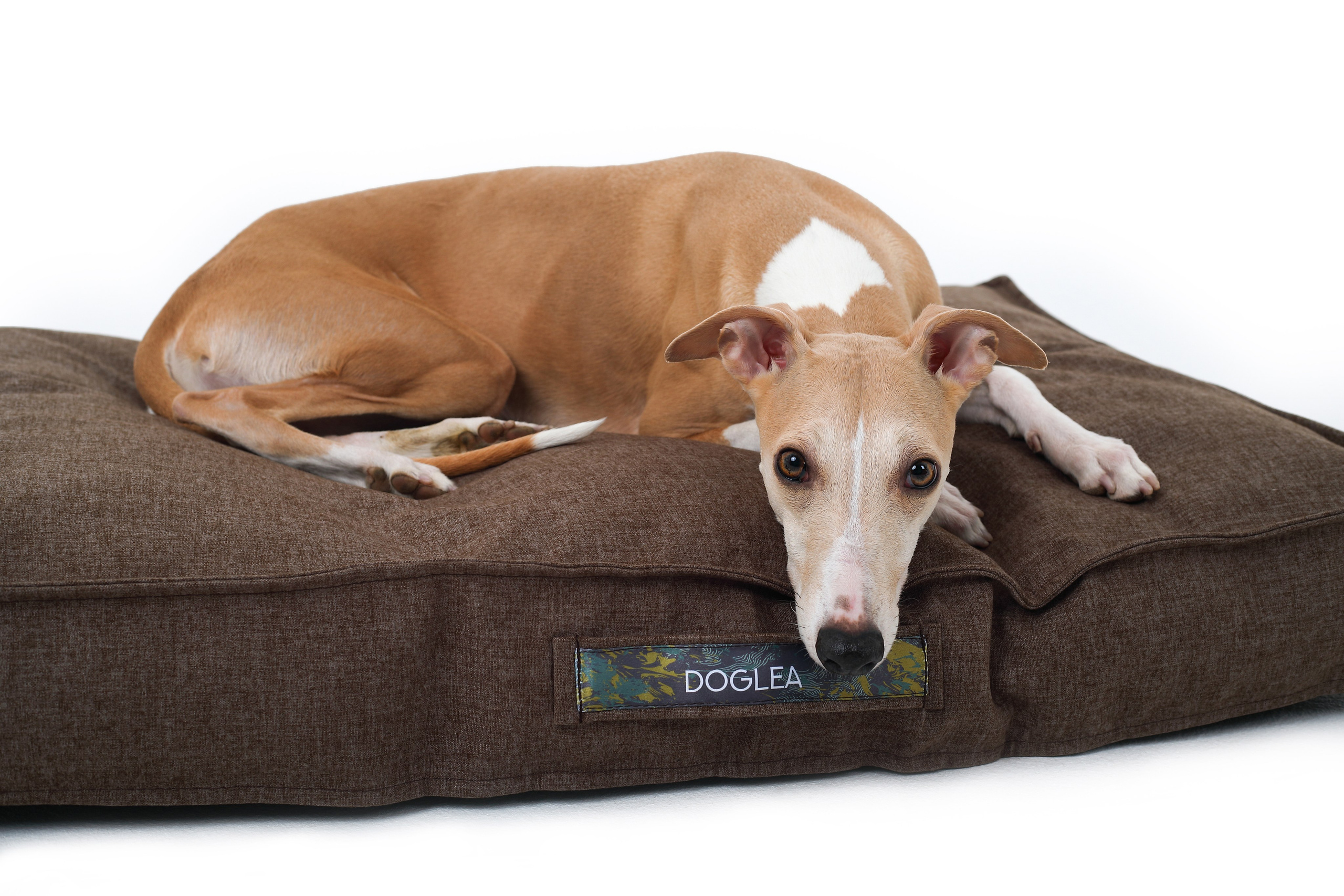 Для брендов. Фотограф- анималист Санкт-Петербург