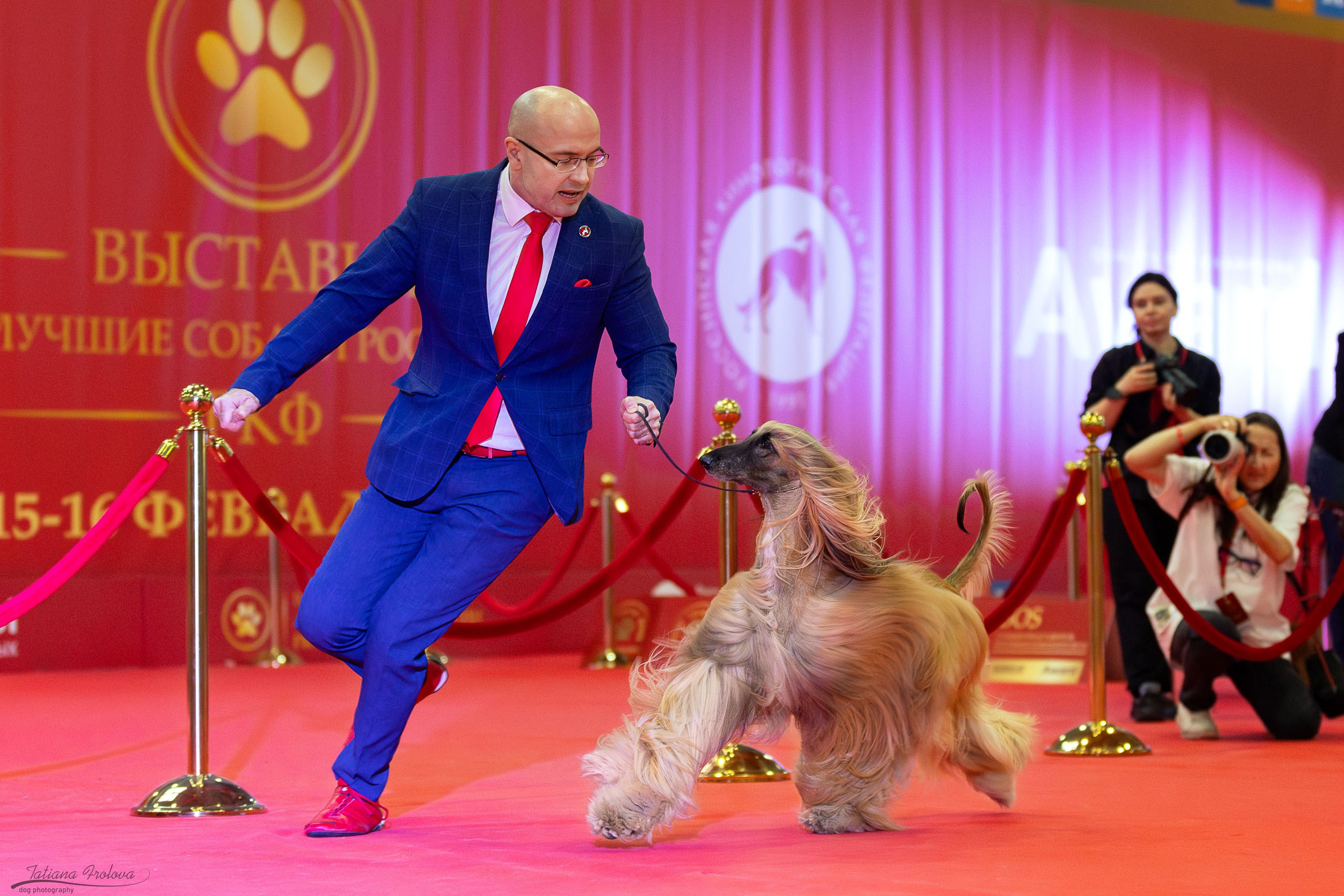 Фото с выставки РКФ. Фотограф-анималист в Москве и Московской области Татьяна Фролова