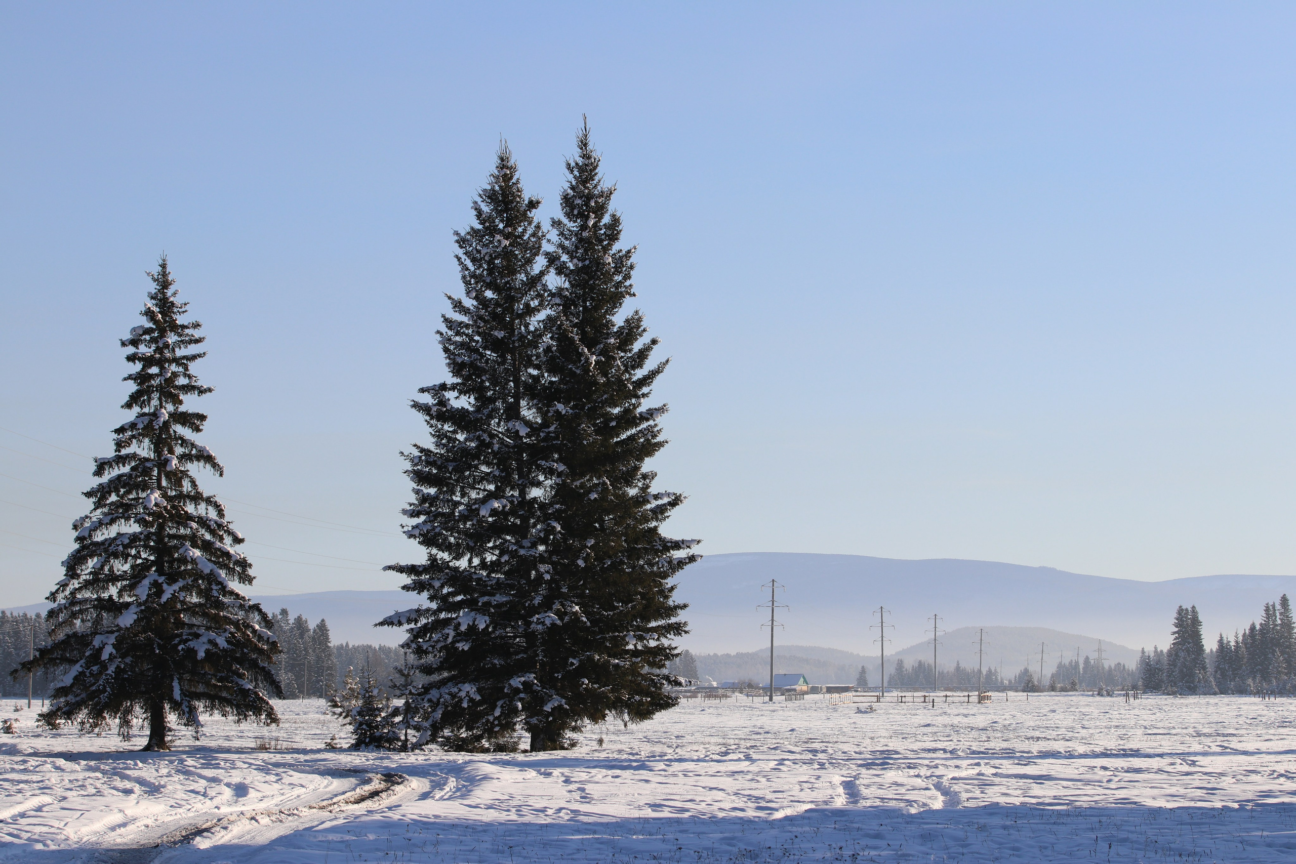 Аршан. Январь 2022. Путешественник-фотограф из Санкт-Петербурга Татьяна Свистулина