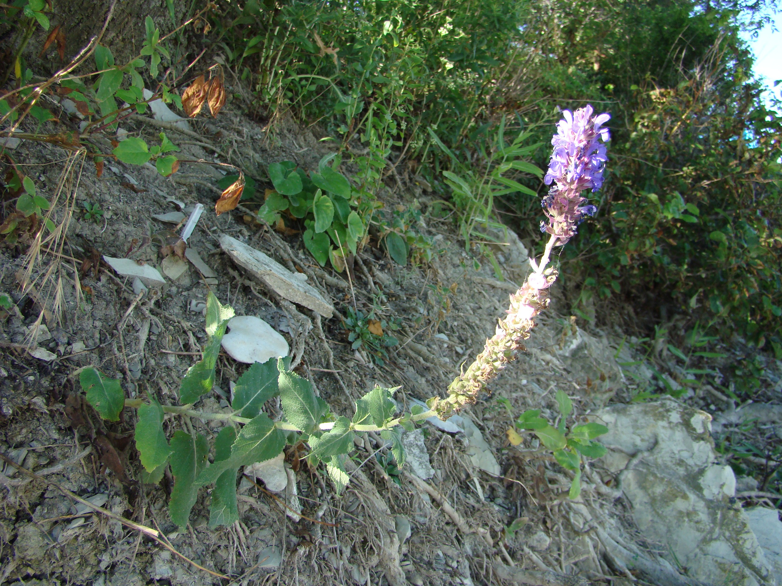 Кабардинка (фото Зевиных) 25.06-24.07.2008. Семейный, Свадебный фотограф СПБ Питер— Романова Екатерина