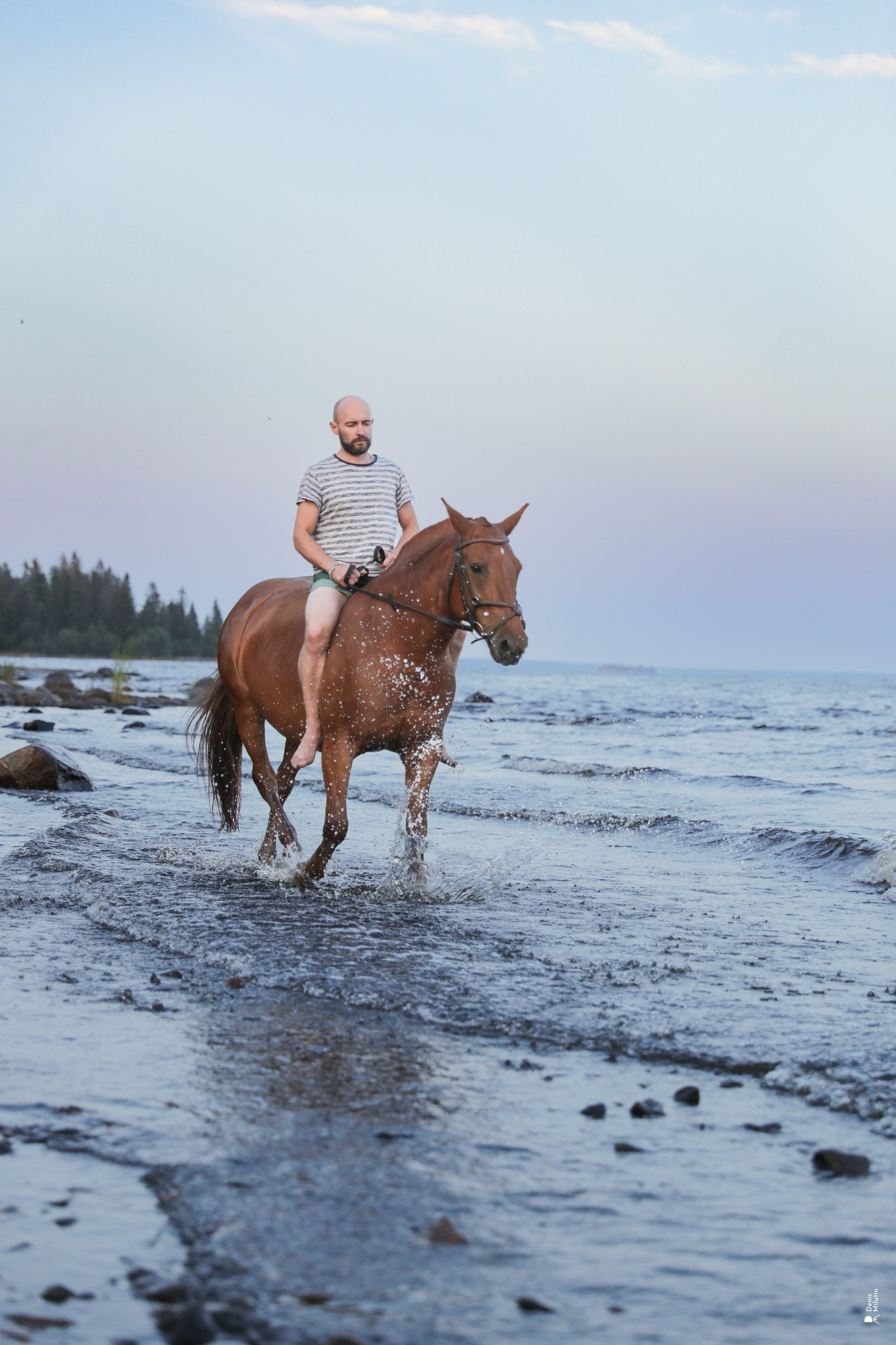 Фото с лошадьми. Портретный фотограф Денис Милютин