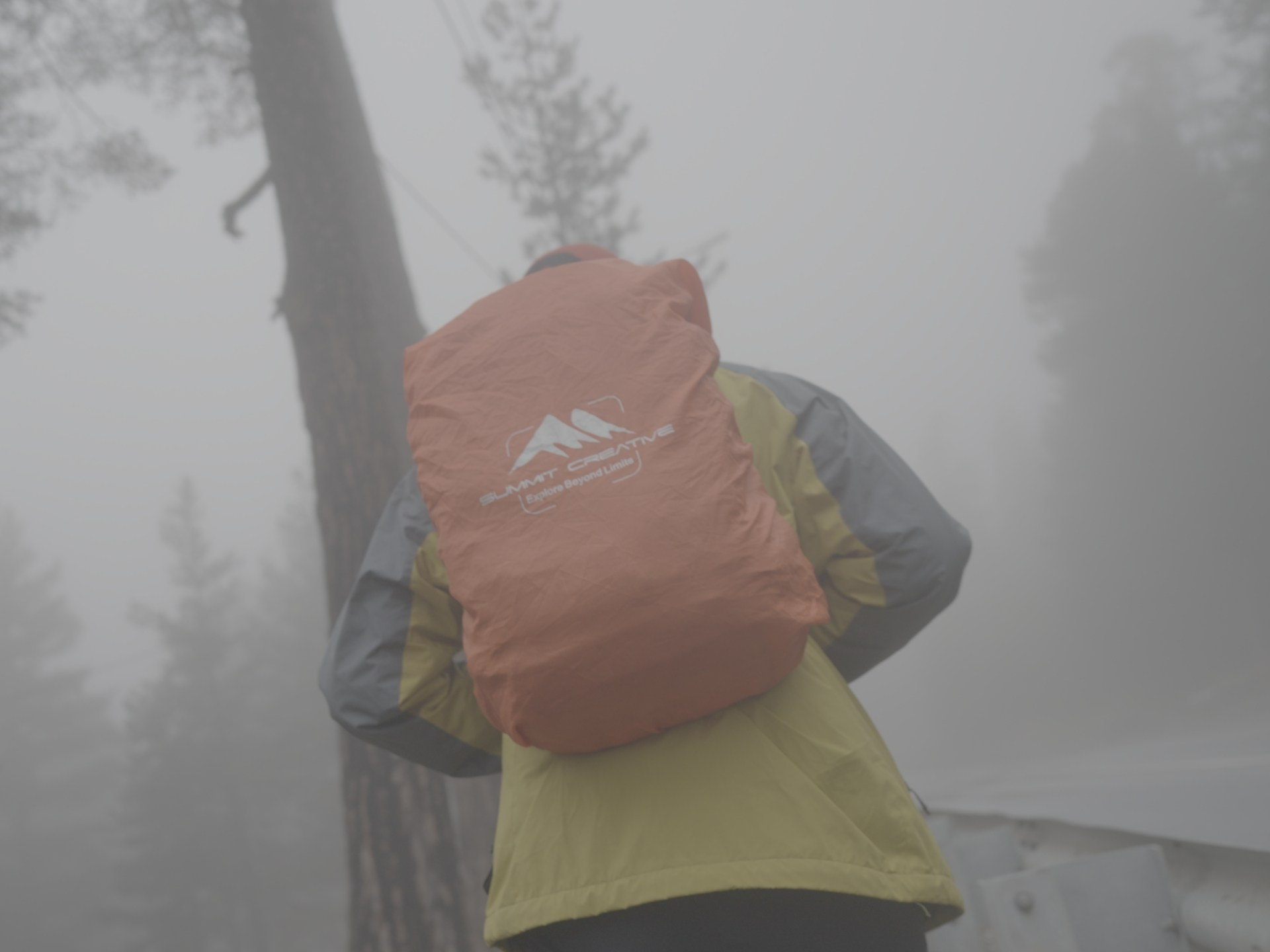 LUT SONY SLOG3. Видеооператор, Видеограф в Москве, Видео монтаж