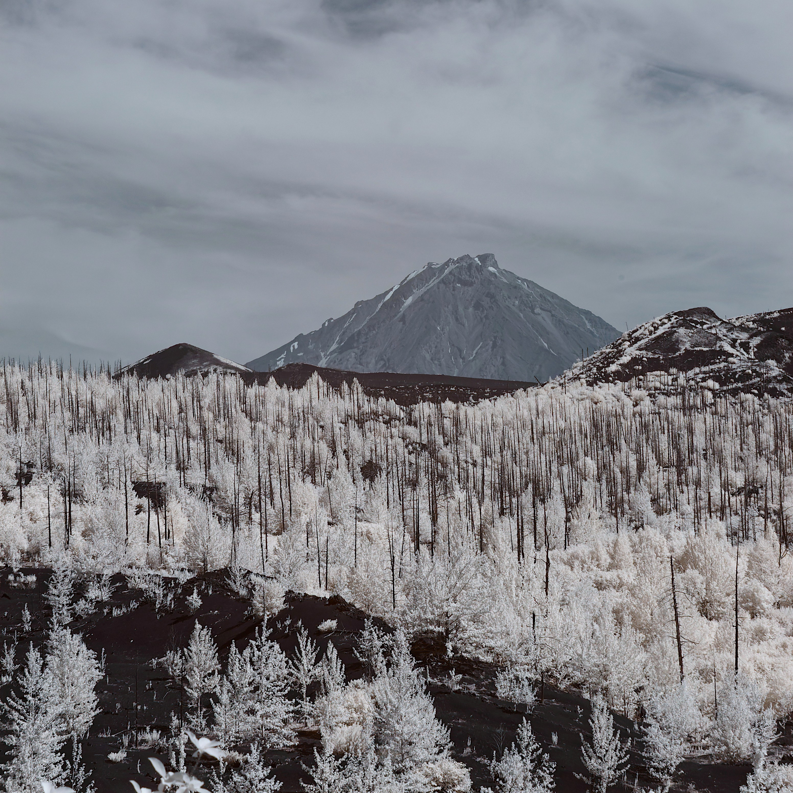 Камчатка. Фототрип. Тур?. Семоха Валерий. Фотограф