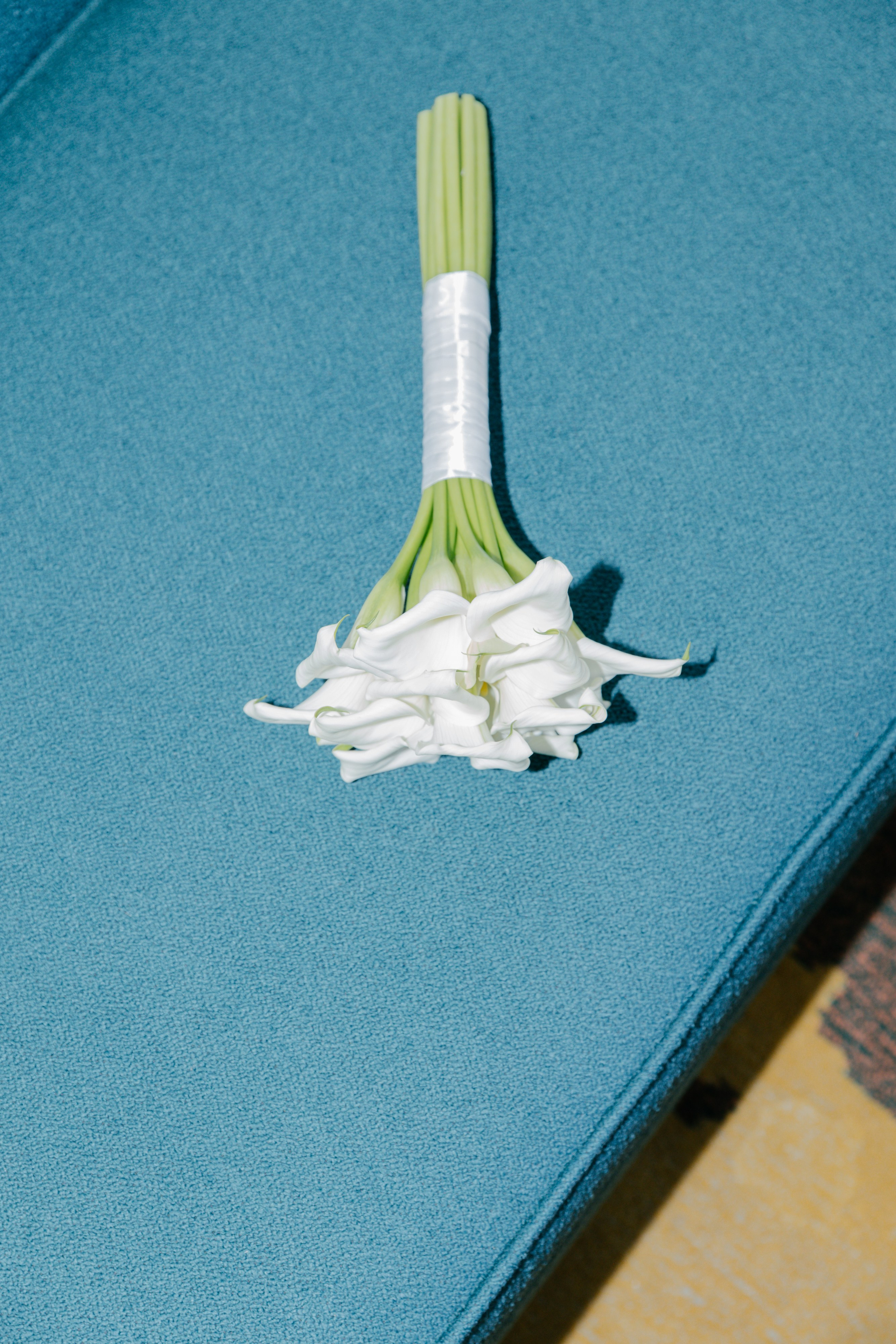 Lukaš & Alina. Wedding Photographer