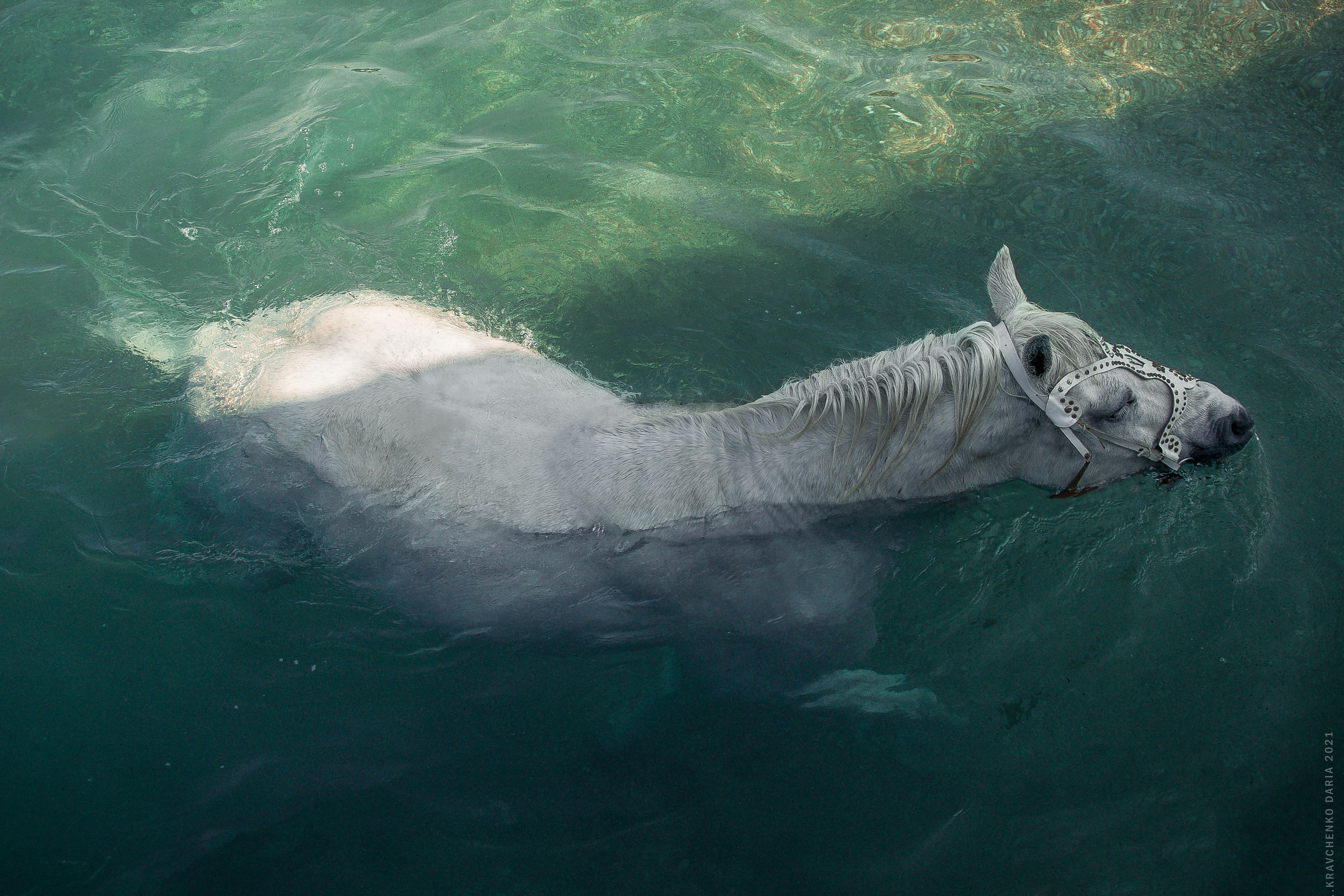 Миф и Фунтик. Фотограф в Севастополе