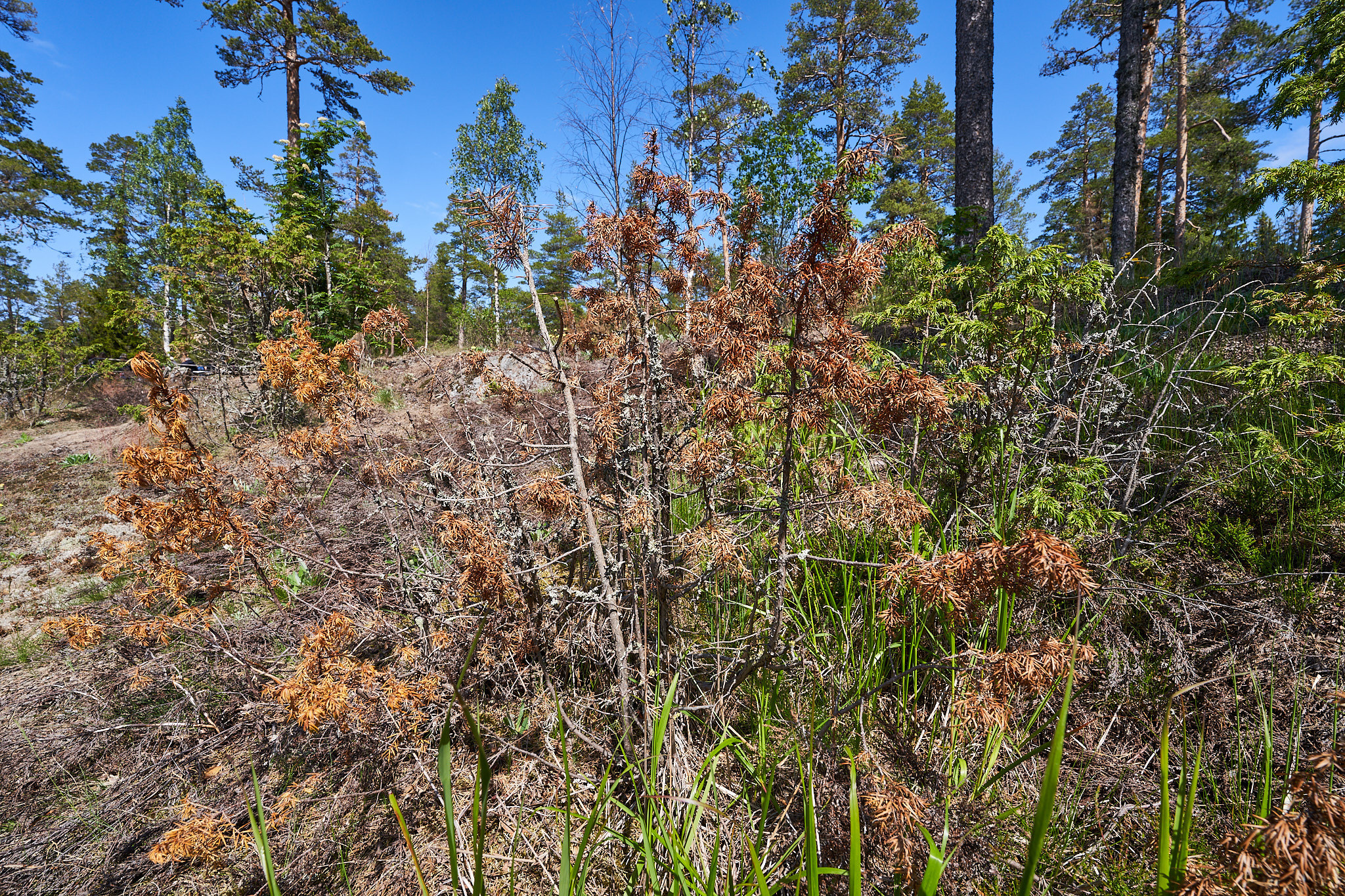 Валаамский монастырь