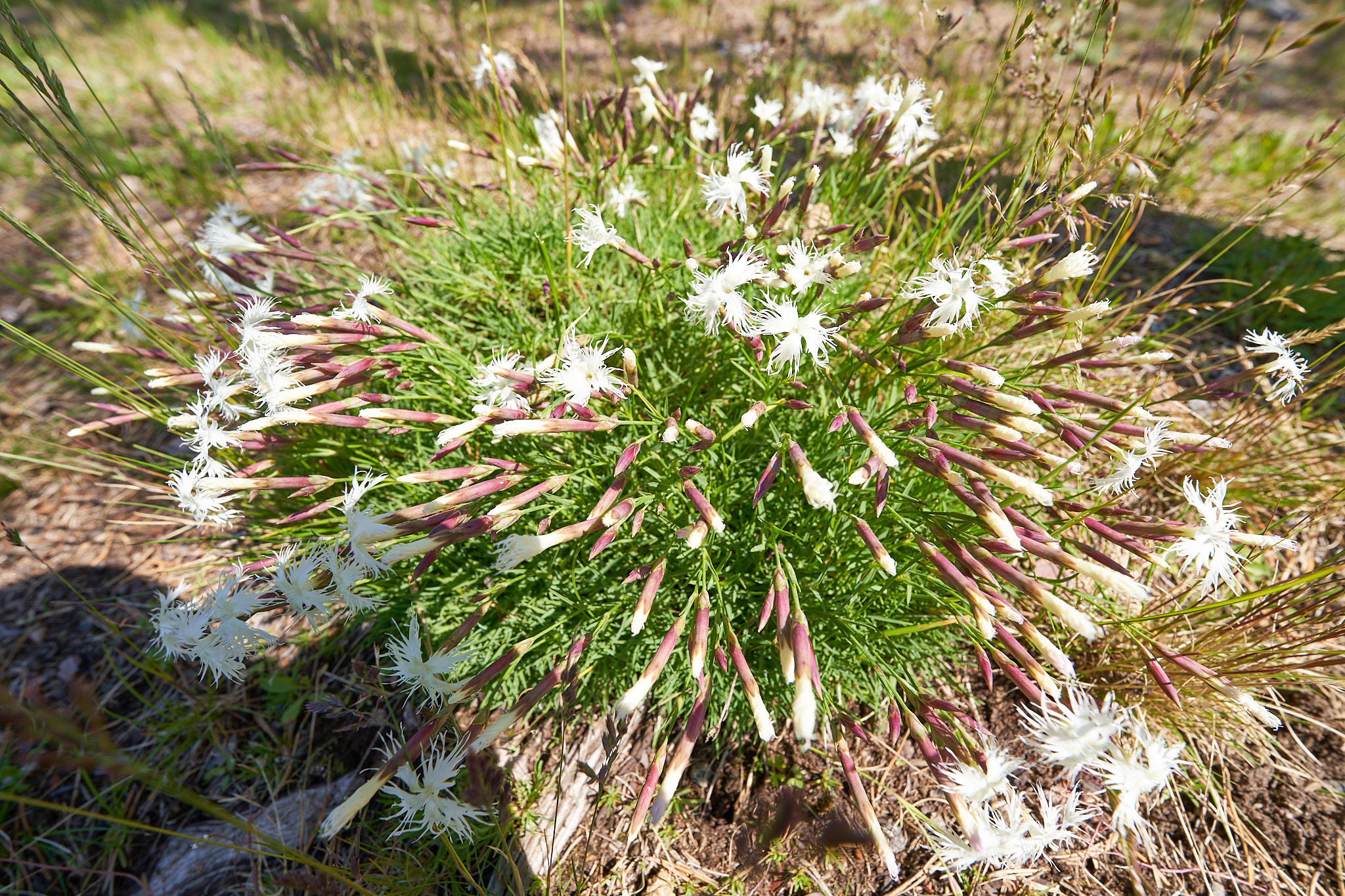 Валаамский монастырь