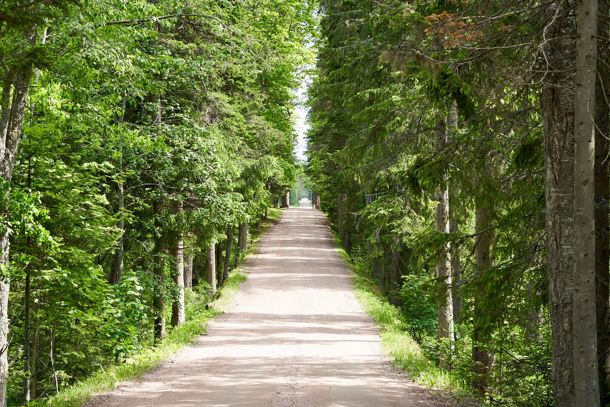 Валаамский монастырь