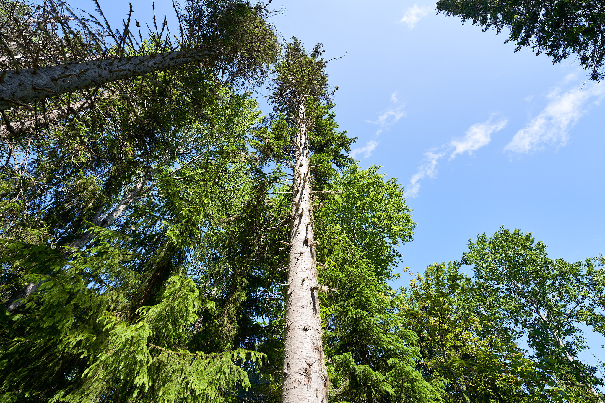Валаамский монастырь