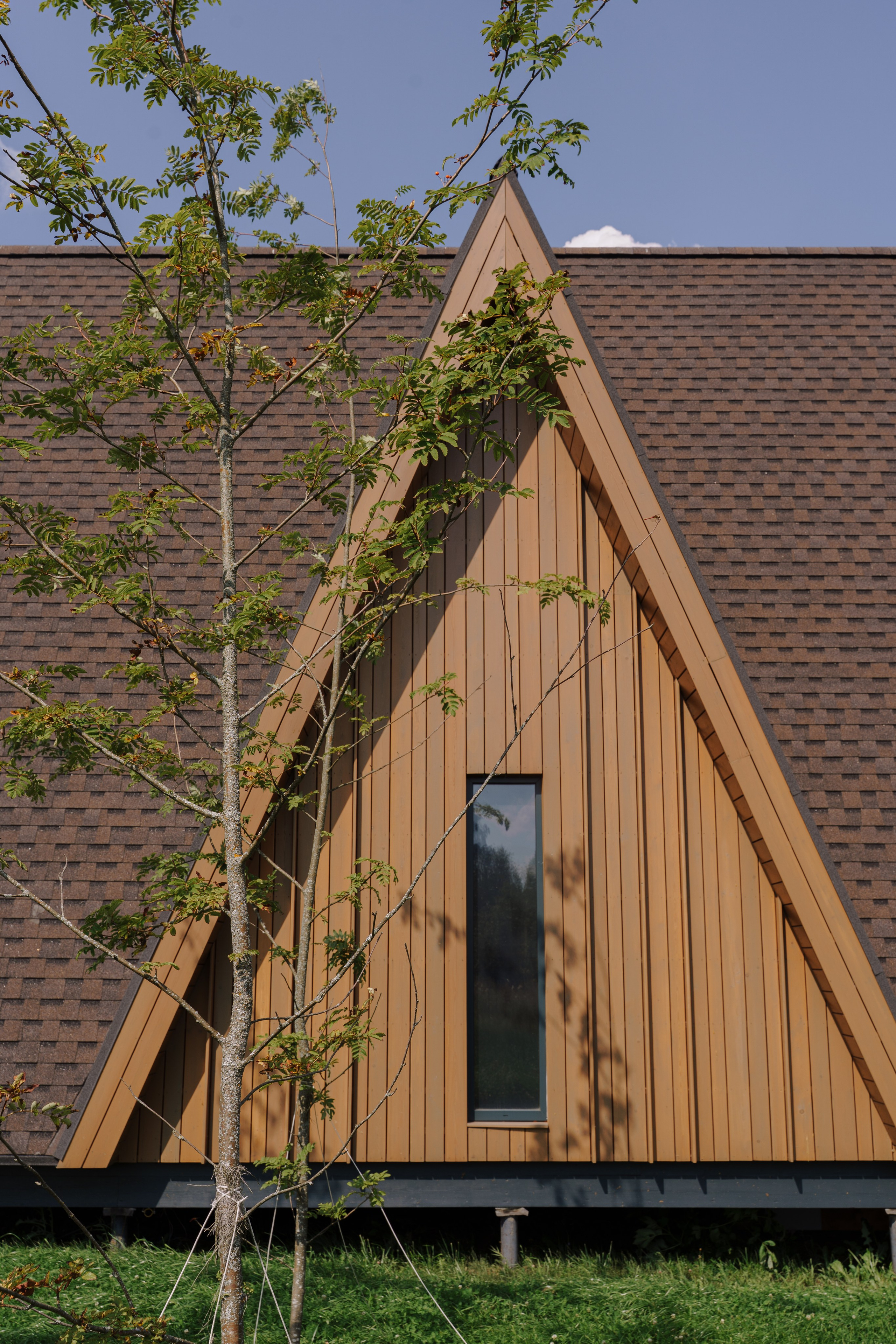 Глемпинг Трофимов берег Москва