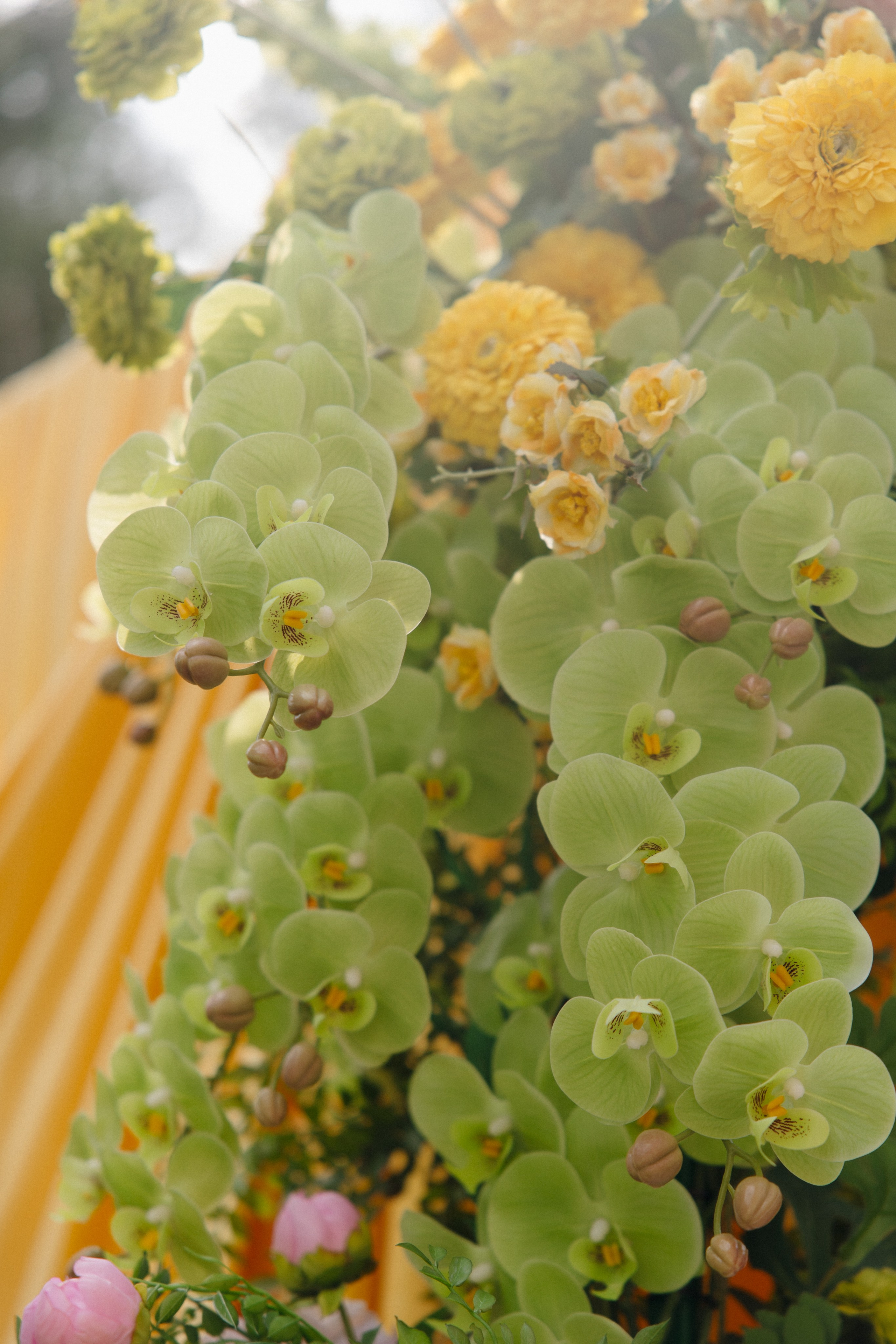 Таня и Леша. Свадебный фотограф Марусина Катерина