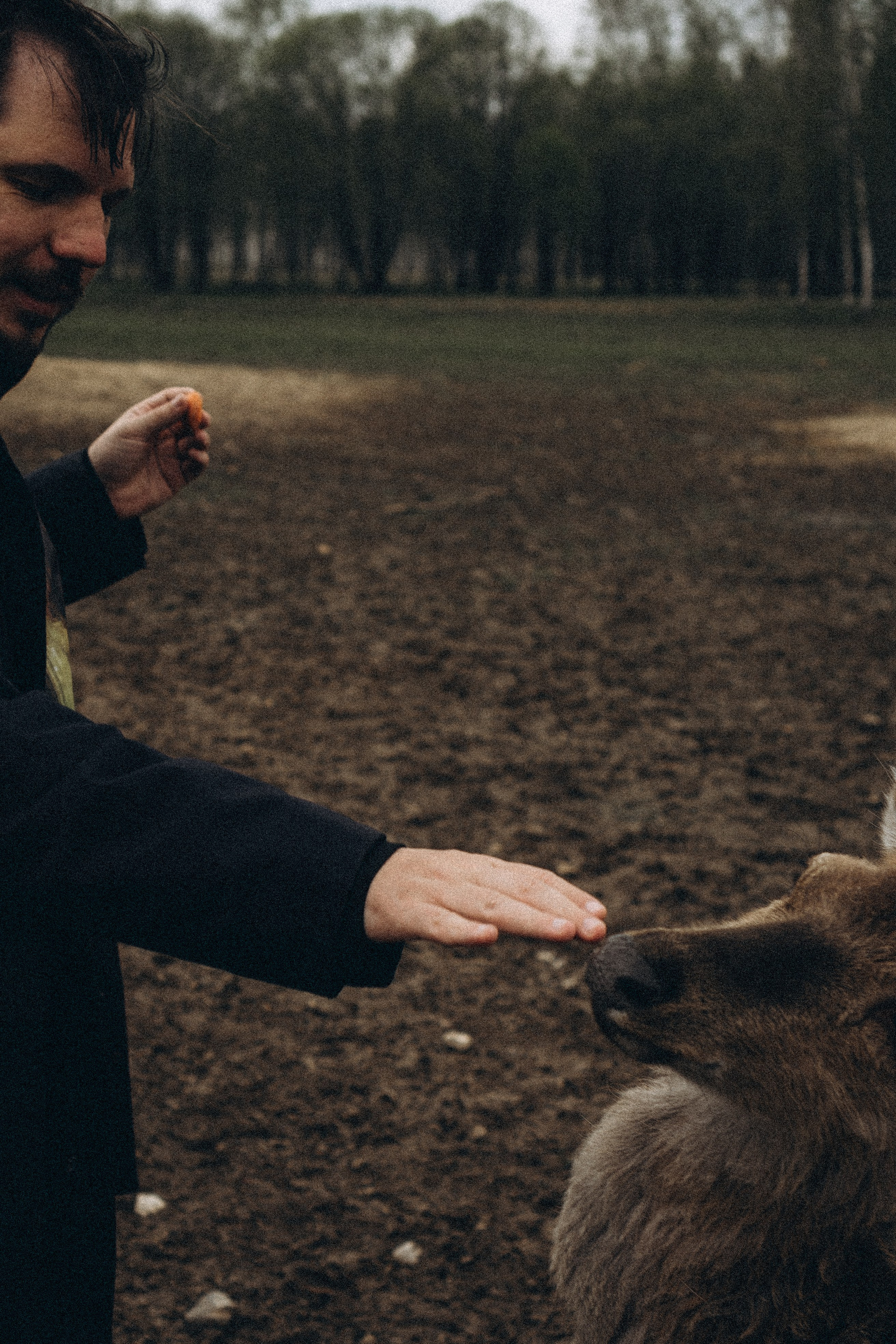 ОЛЕНЬЯ ФЕРМА В ТВЕРИ. Профессиональный фотограф, Санкт-Петербург — Виктория Богомолова