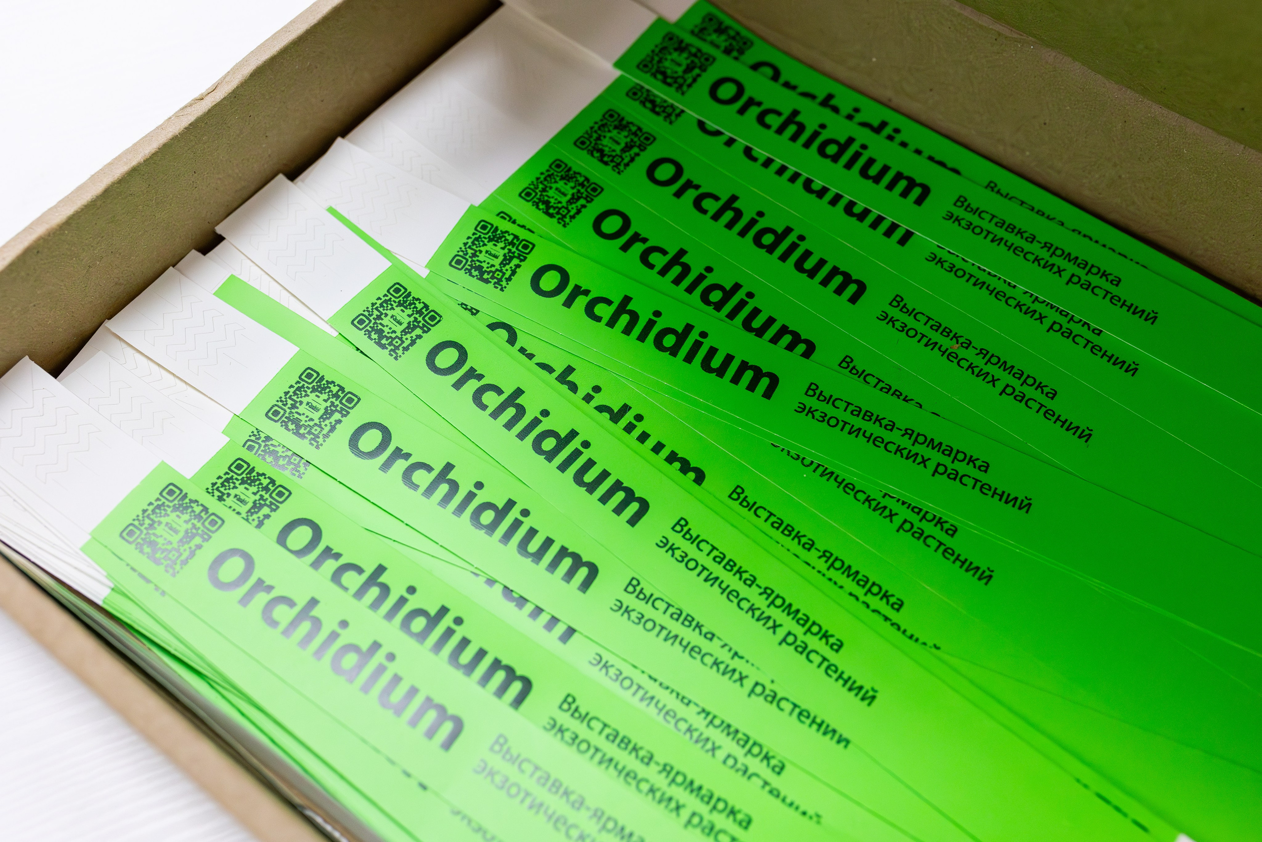 Орхидиум май 2025. Александра Куликова фотограф, Москва