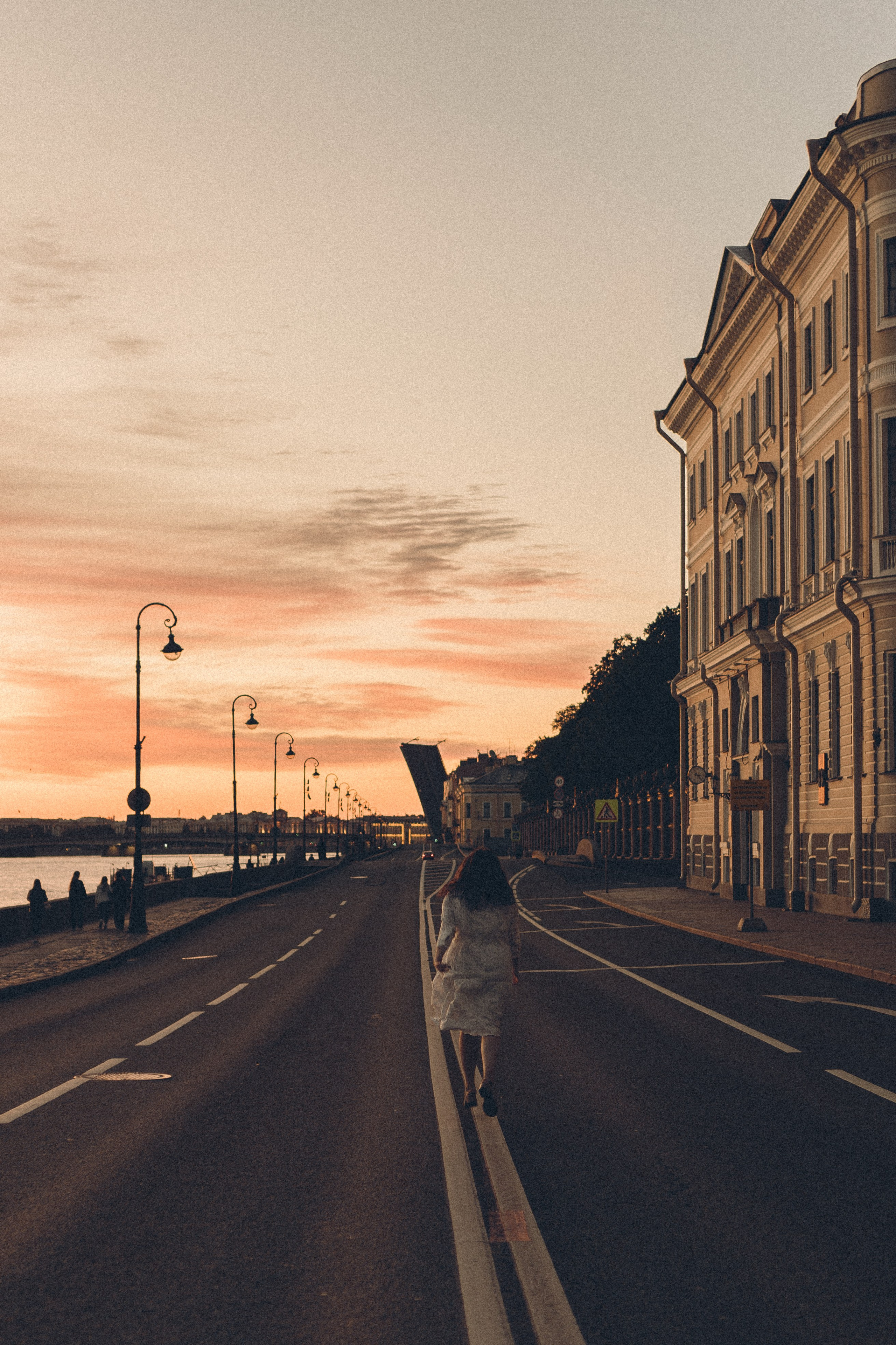 РАССВЕТ С РАЗВОДНЫМИ МОСТАМИ. Профессиональный фотограф, Санкт-Петербург — Виктория Богомолова