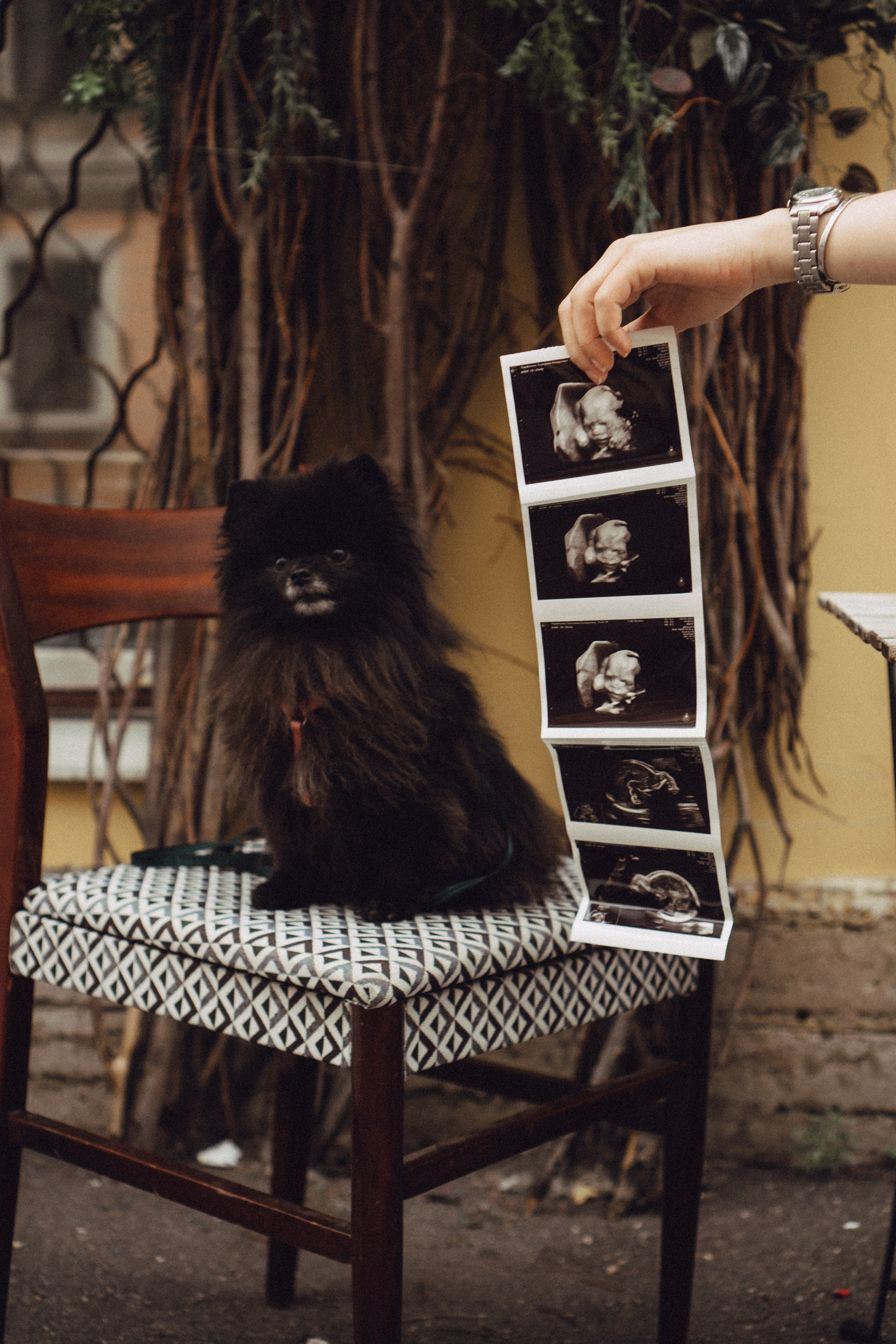 Беременность (только часть фото по желанию клиентов могу показать)). Профессиональный фотограф, Санкт-Петербург — Виктория Богомолова