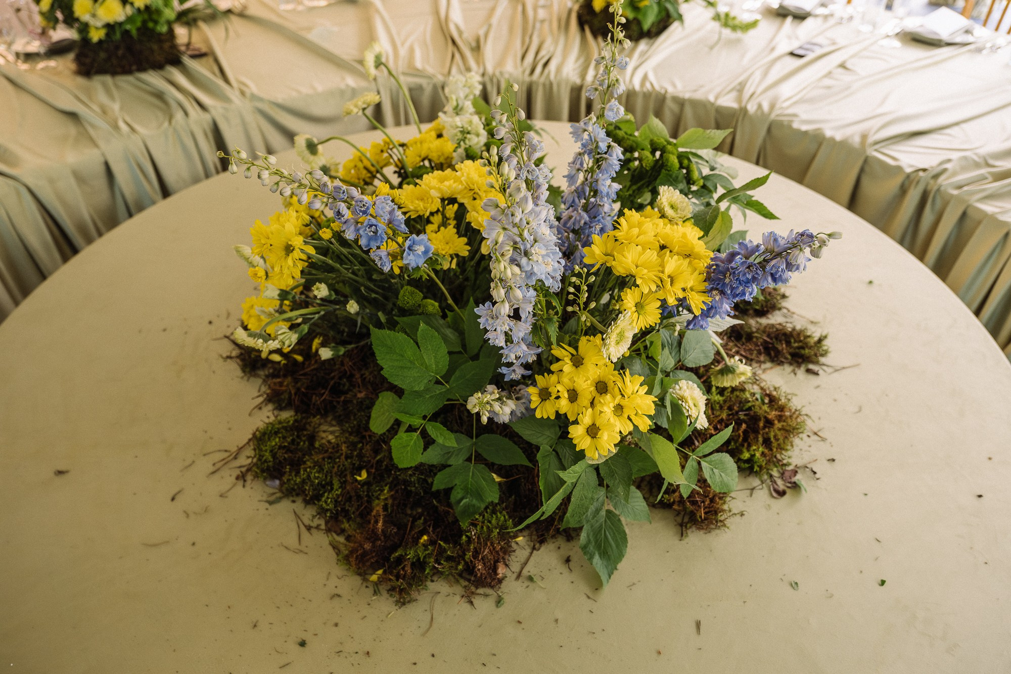 Мария / Семён. Свадебный Видеограф Фотограф в Сочи