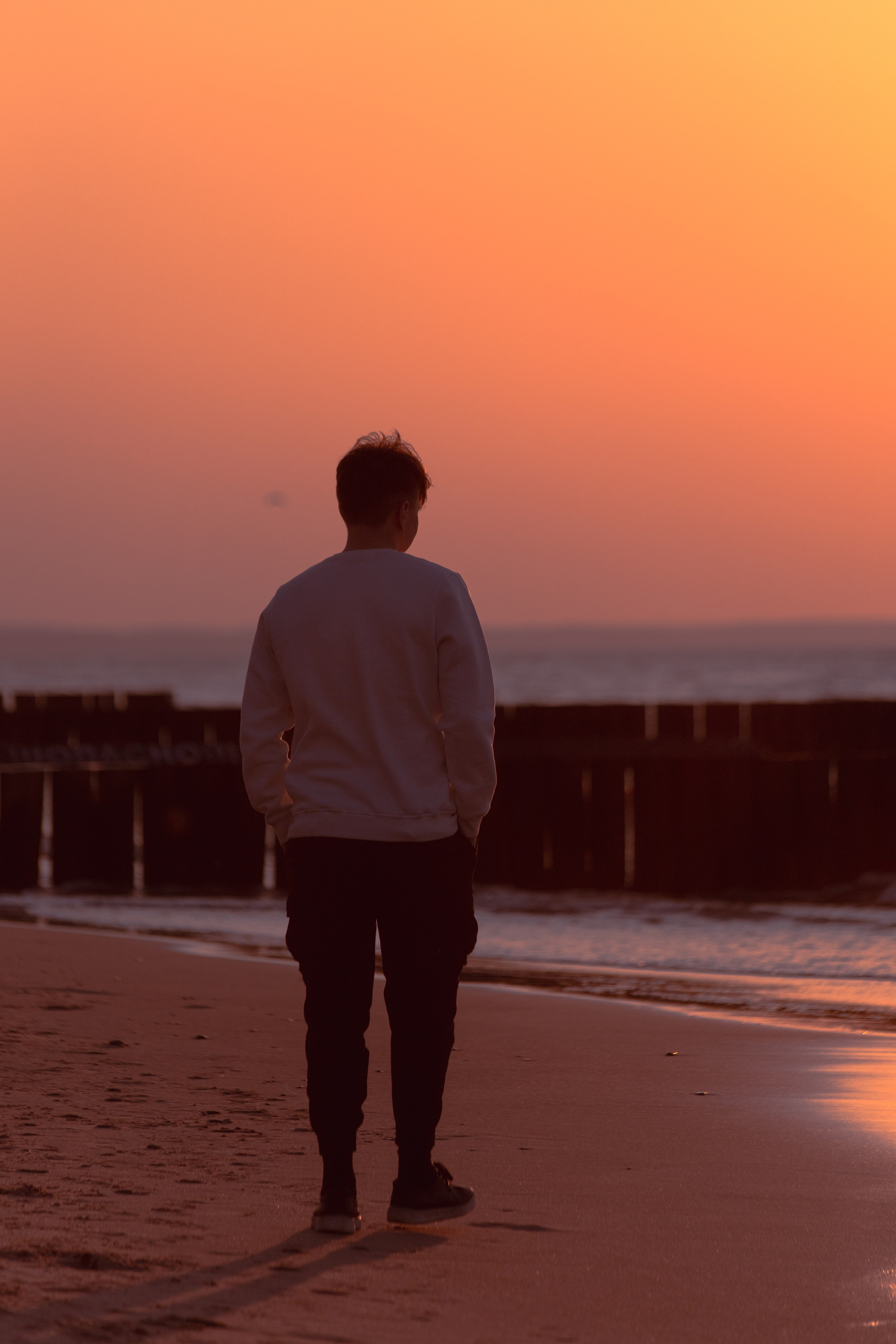 Артем Б. (г.Зеленоградск). — Digital Noise —