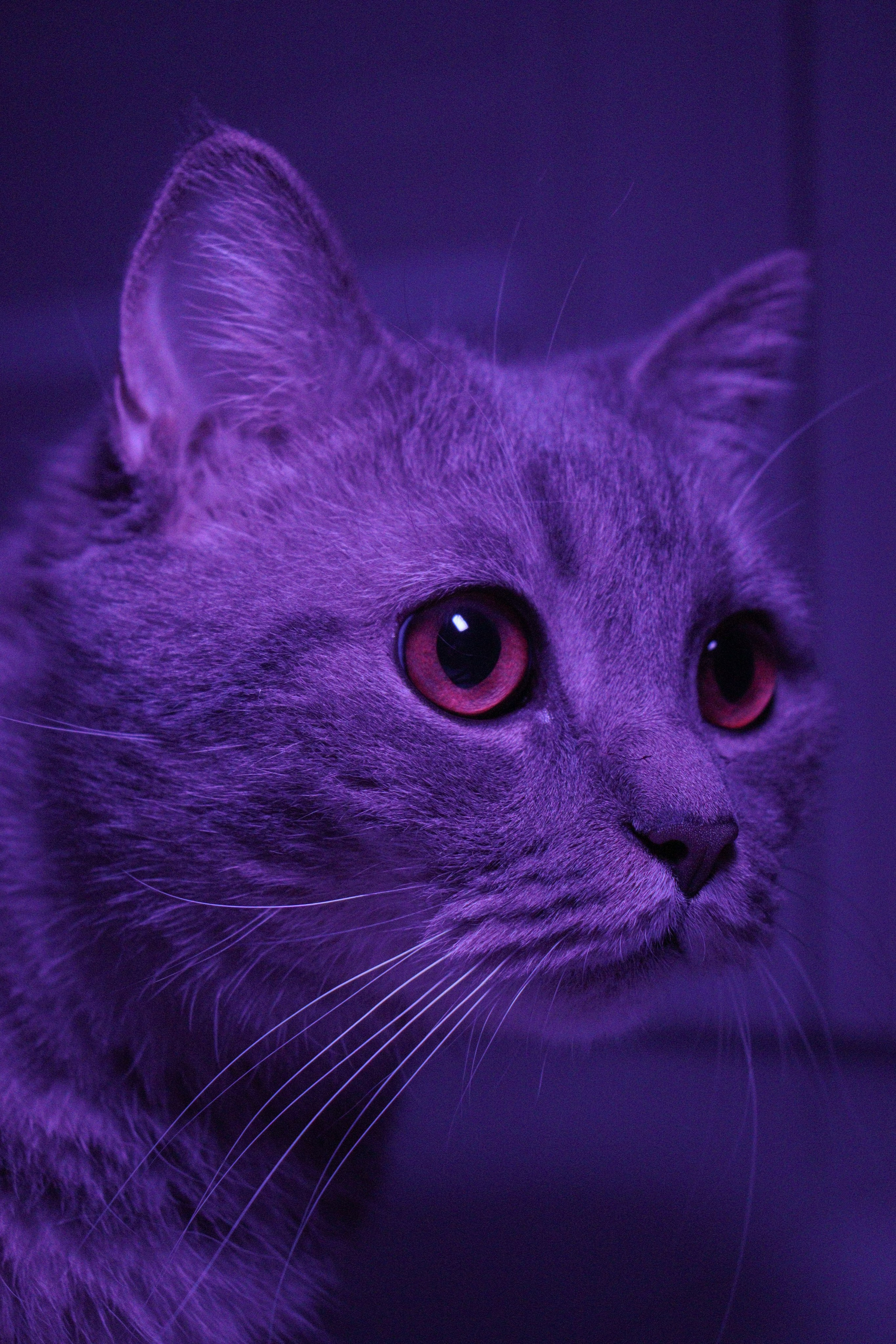 М А Р Т И Н. — Digital Noise —