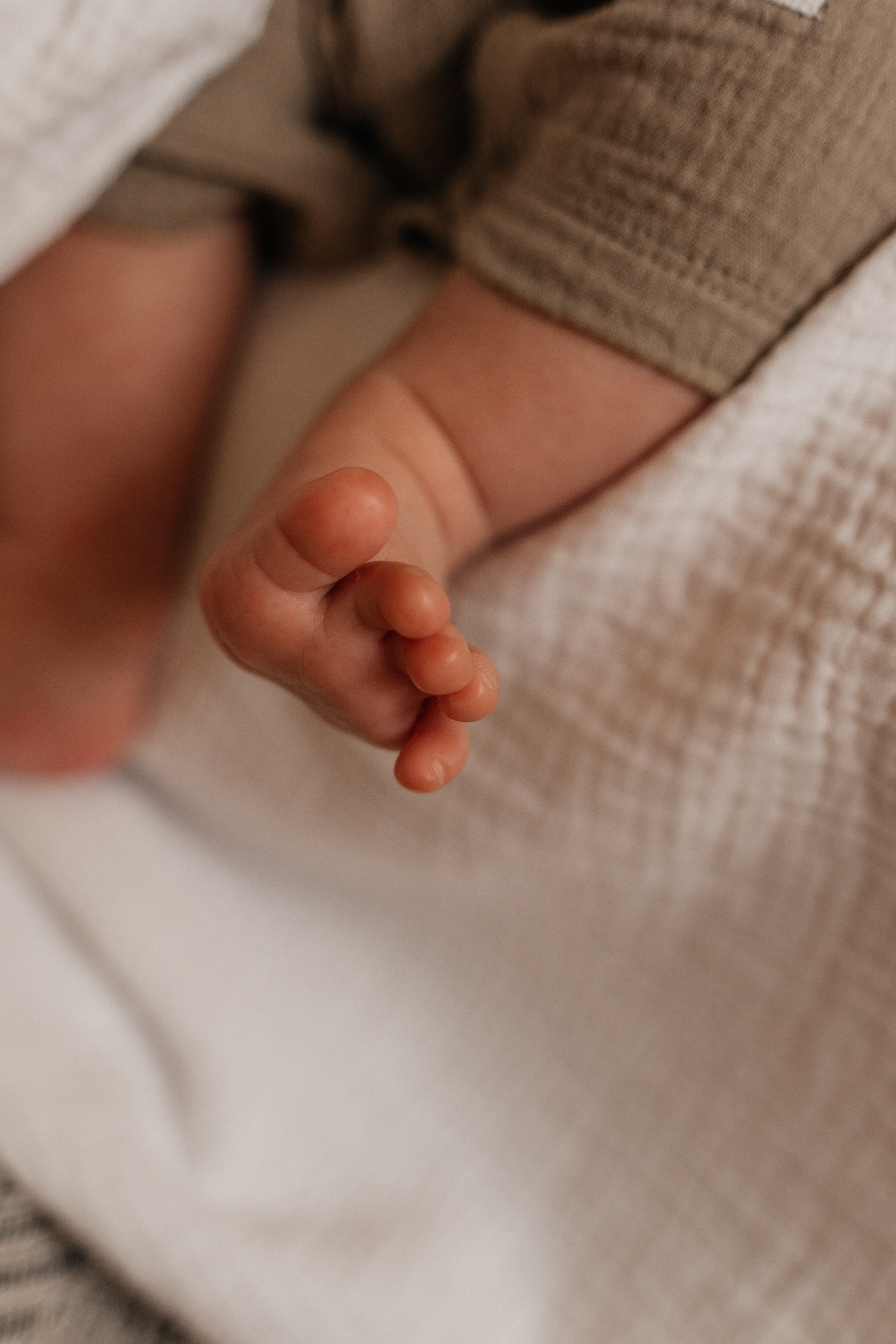 Андрей, Ангелина и Лев. Волик Мария