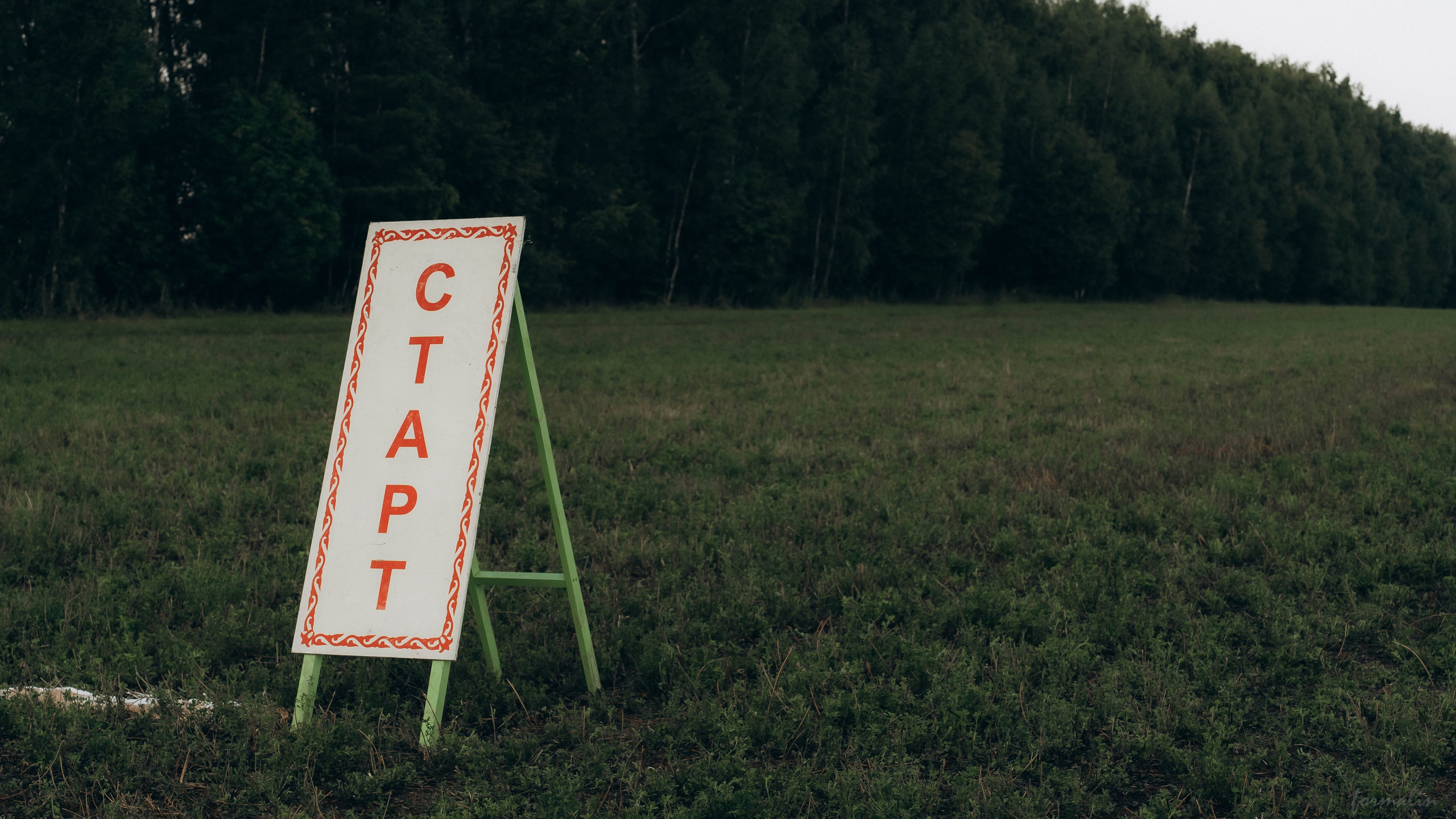 День Коня. Алиса Никитцова | Фотограф в Казани