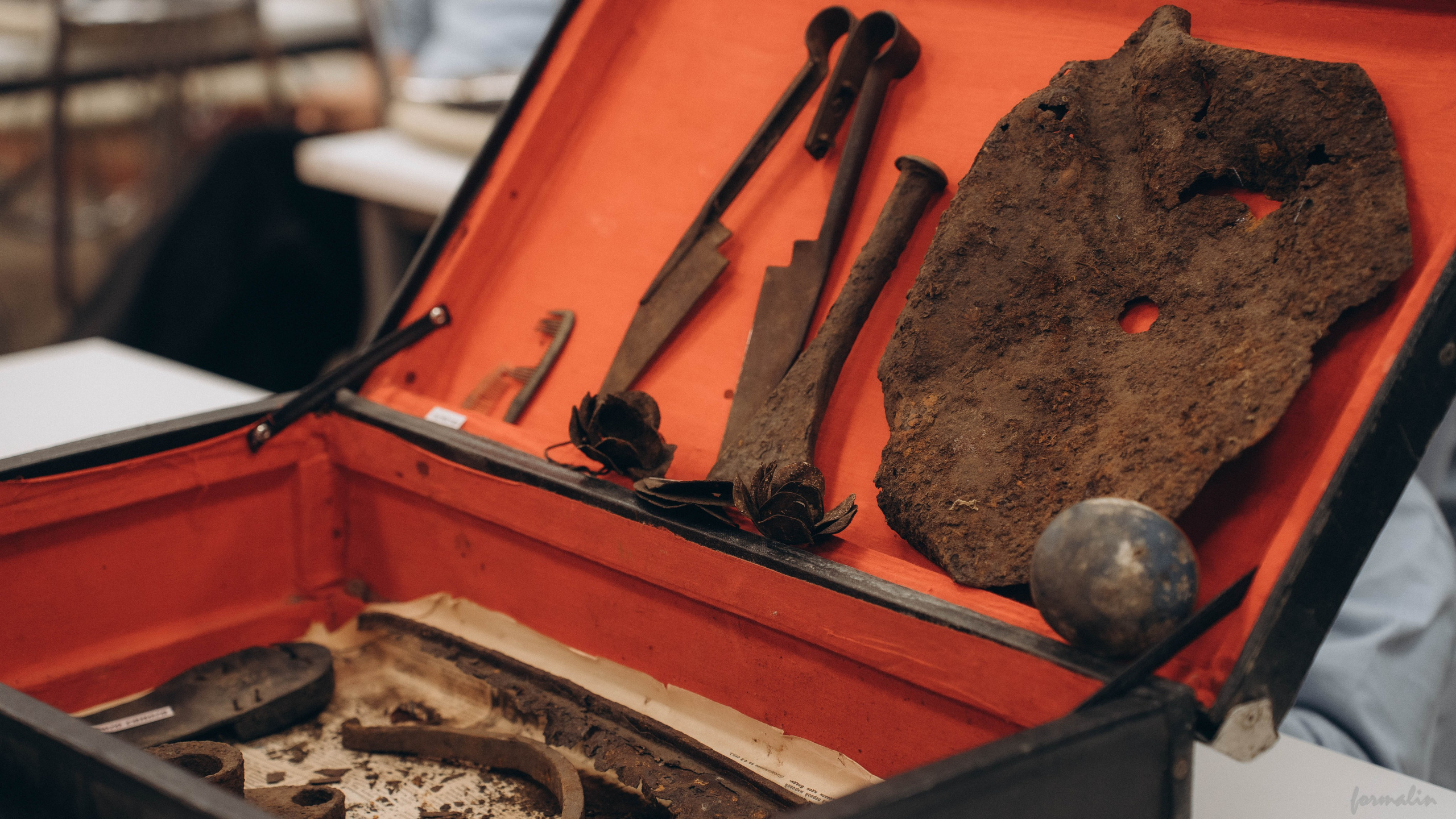 Фестиваль поисковых отрядов РТ 2025. Алиса Никитцова | Фотограф в Казани