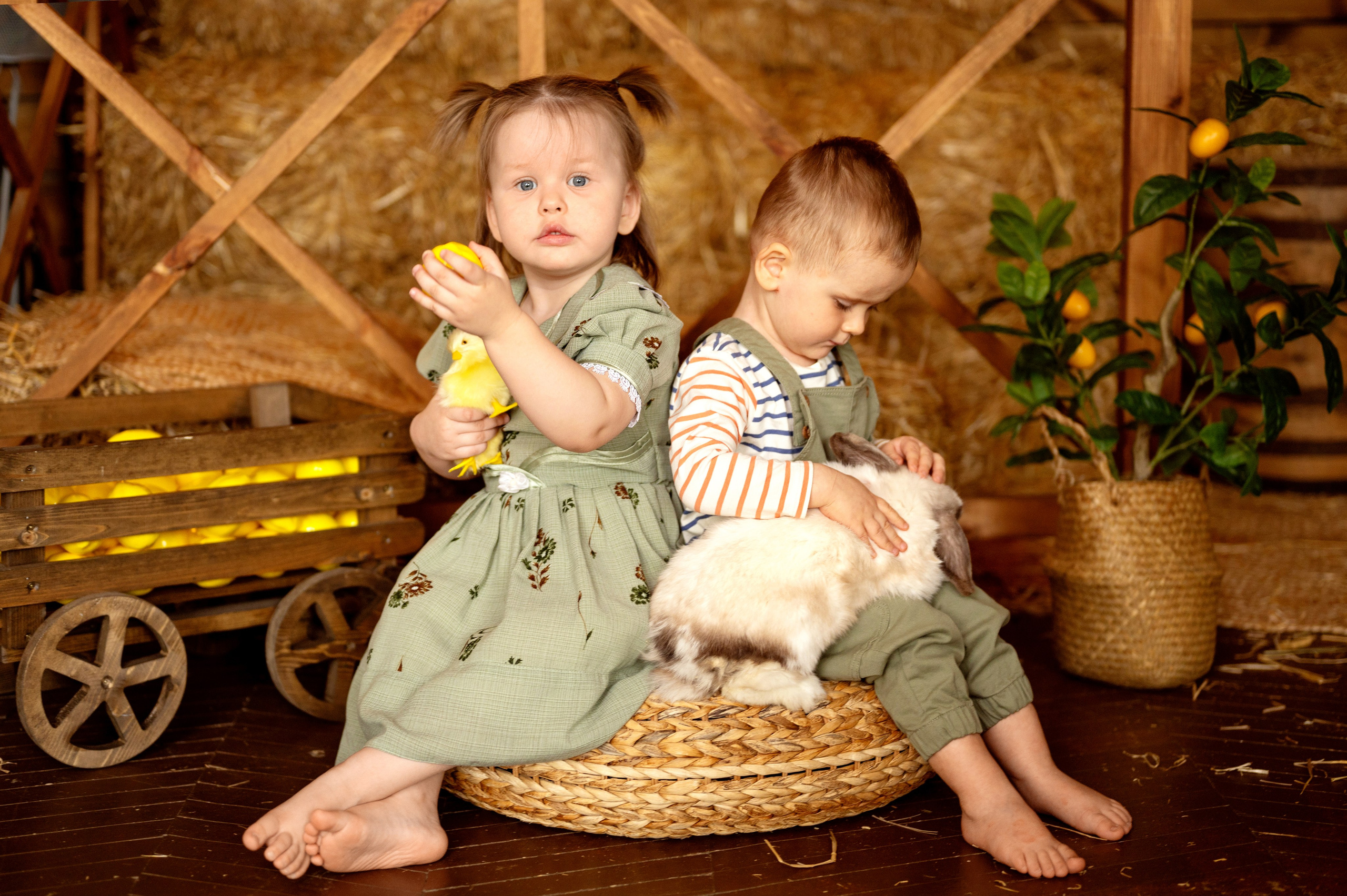 Нарния. Фотограф новорожденных, семейный детский в Тюмени Татьяна Морозова