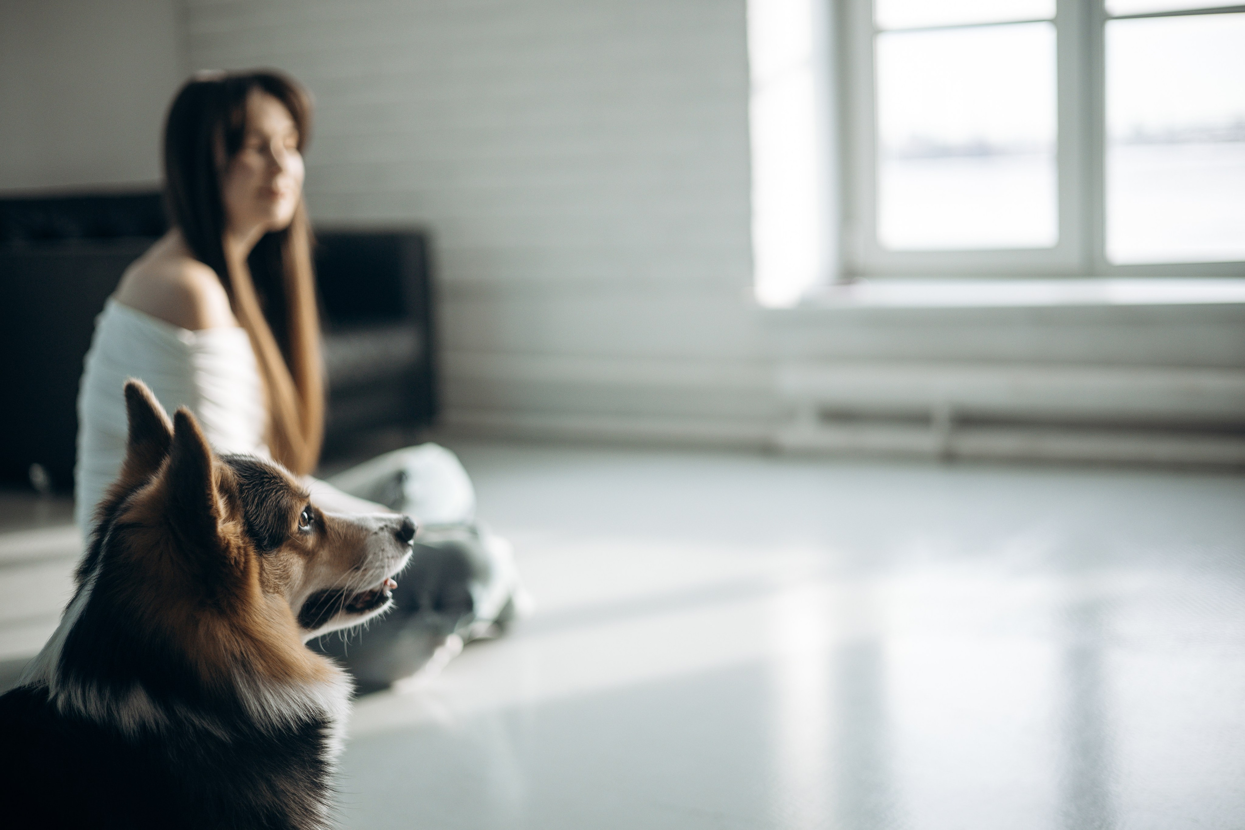 Анастасия и Коржик. Фотограф животных Евгения Верцинская
