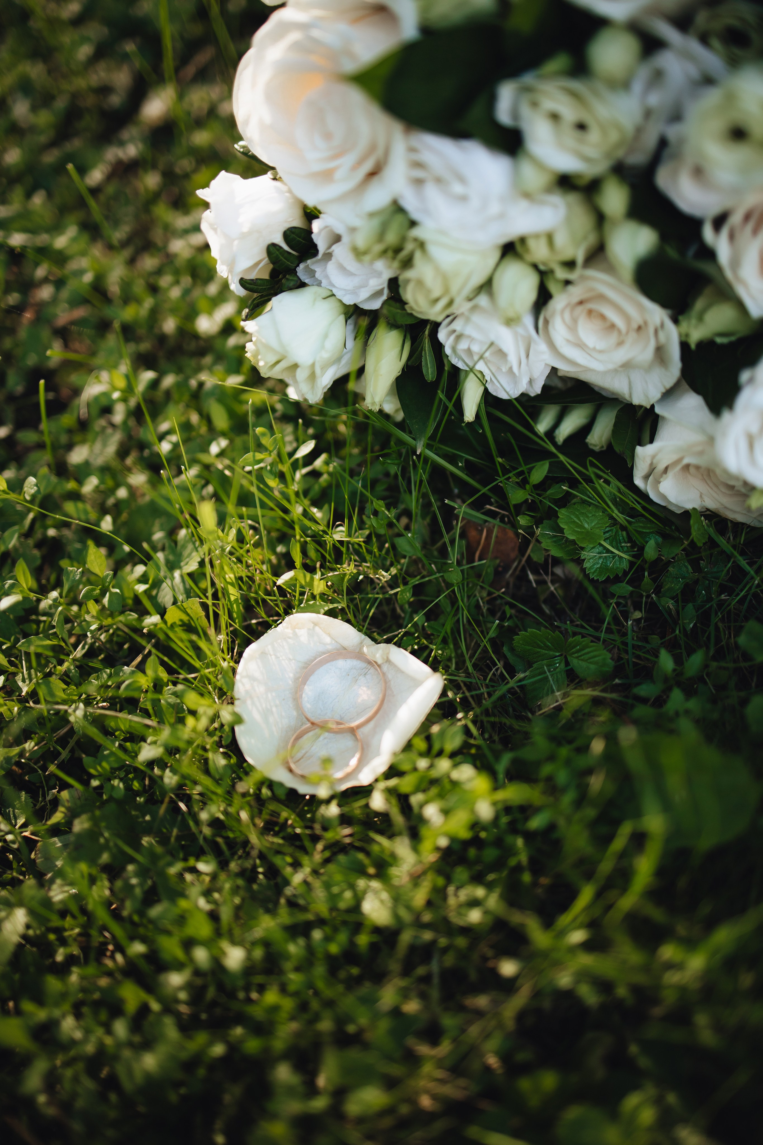 Даниил & Анна. Виктория Файфер| фотограф Новосибирск