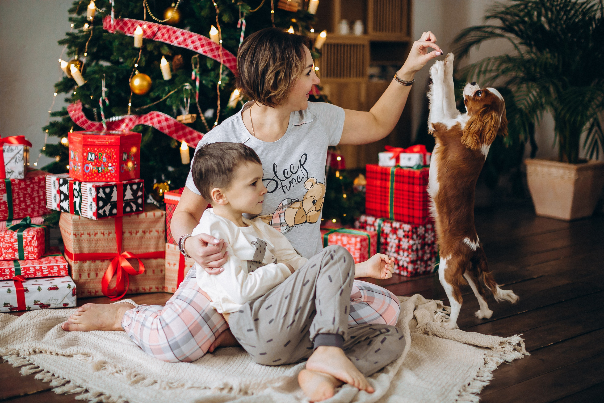 Новогодние фотосессии. Семейный, детский и школьный фотограф в Москве Рудницкая Анна