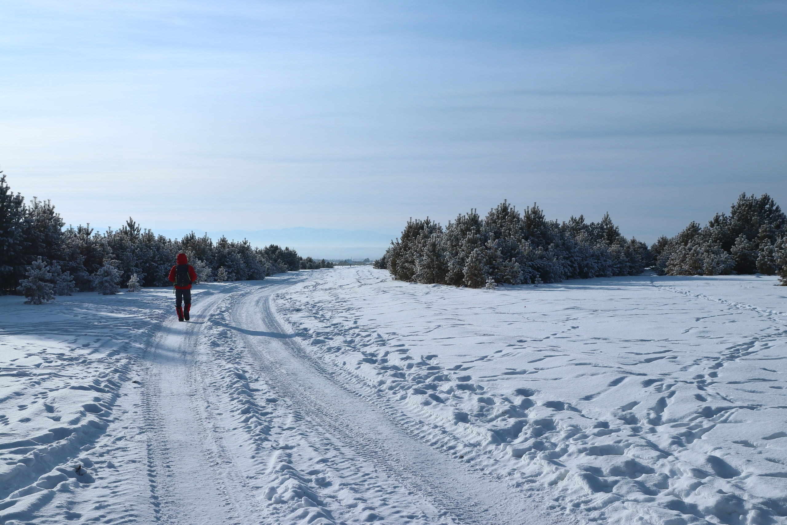 Аршан. Январь 2024. Путешественник-фотограф из Санкт-Петербурга Татьяна Свистулина