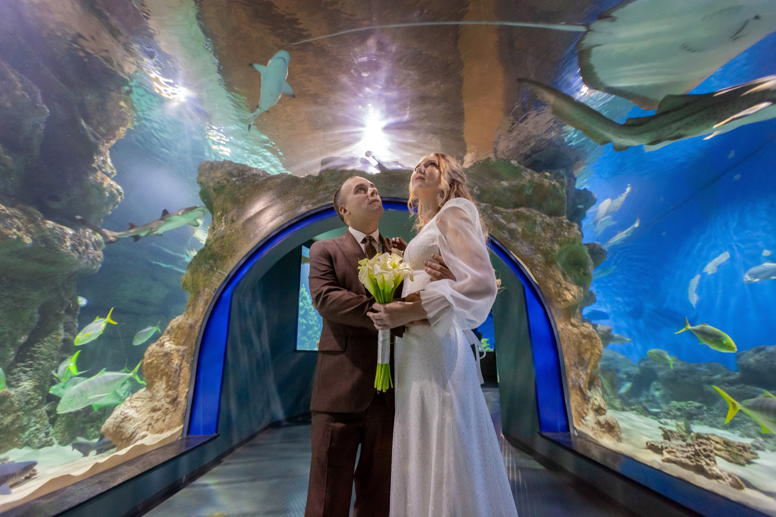 1-12-2023. Главная