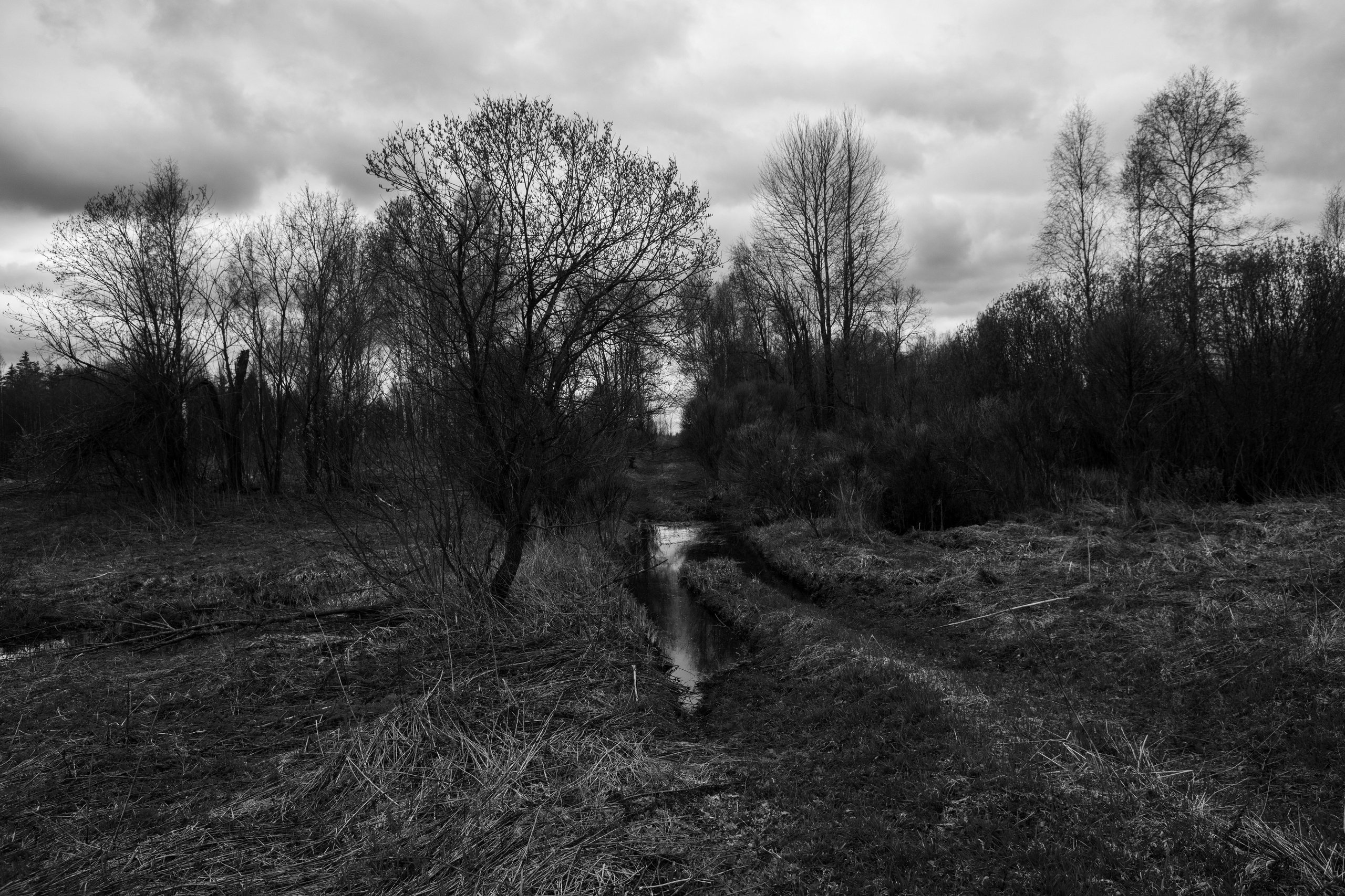 Хранитель лесов. Портретная фотосъёмка, репортажная, контент для вашего бизнеса