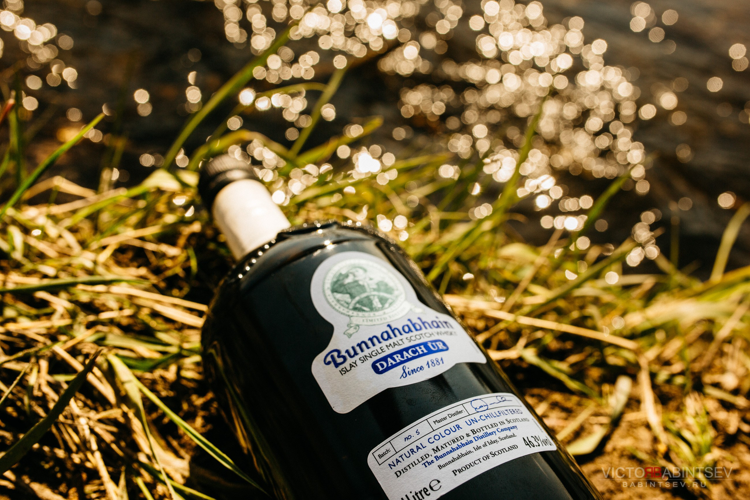 Whisky. Семейный и репортажной фотограф в Красноярске и Москве Виктор Бабинцев