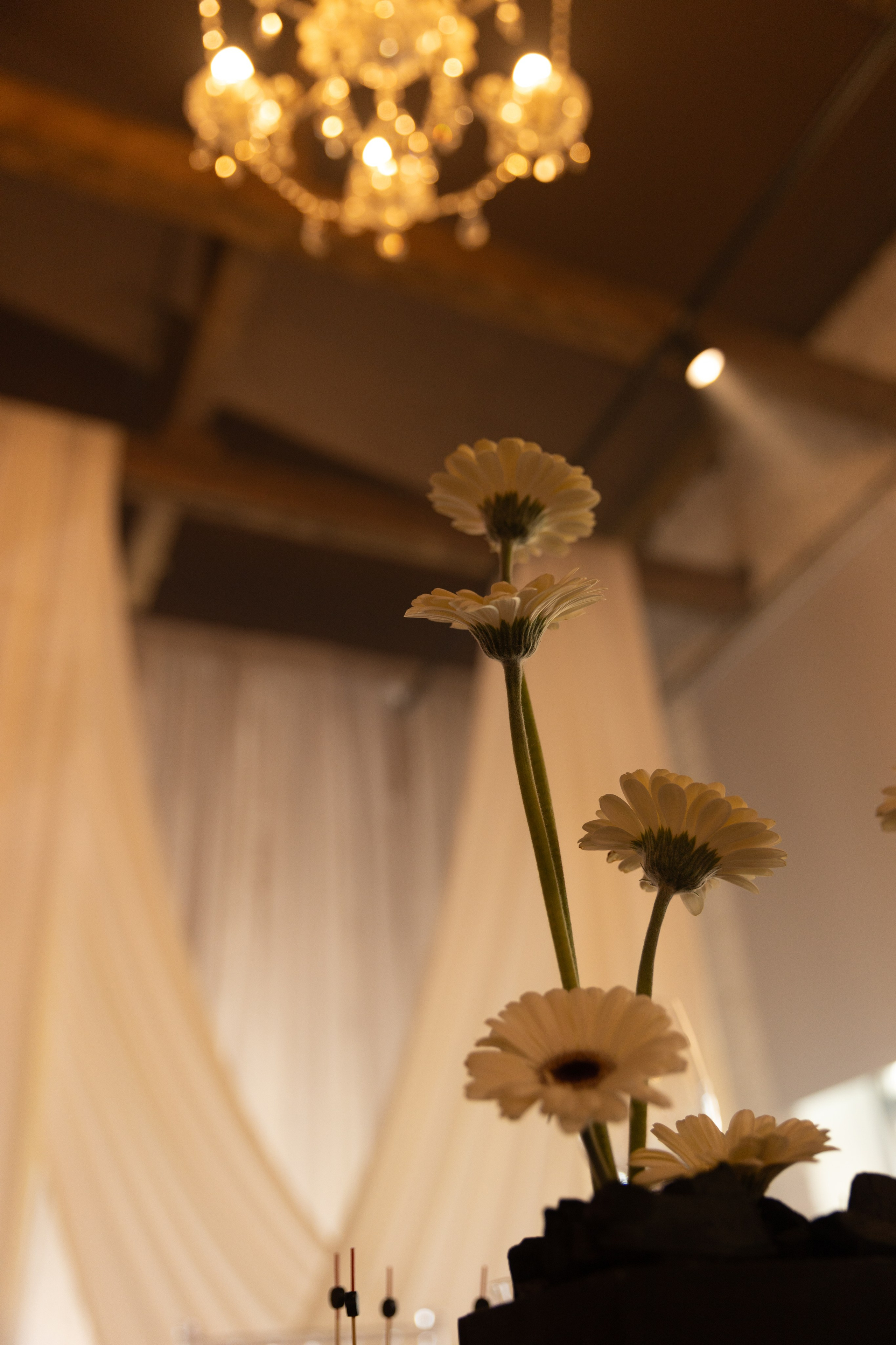 Любовь. Свадебный фотограф Кузнецова Ольга Санкт-Петербург, Вологда, Череповец