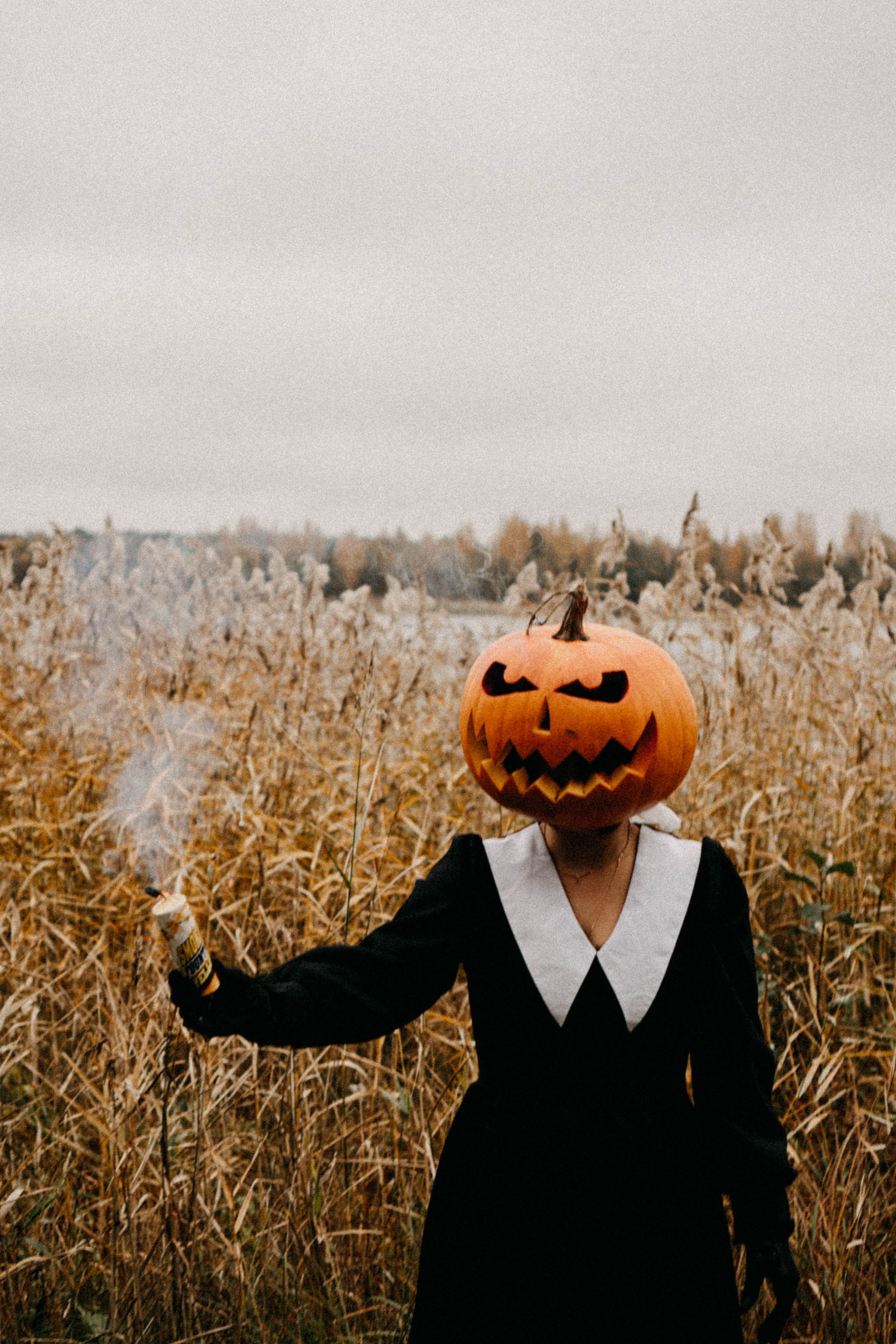 Осеняя. Профессиональный фотограф, Санкт-Петербург — Виктория Богомолова
