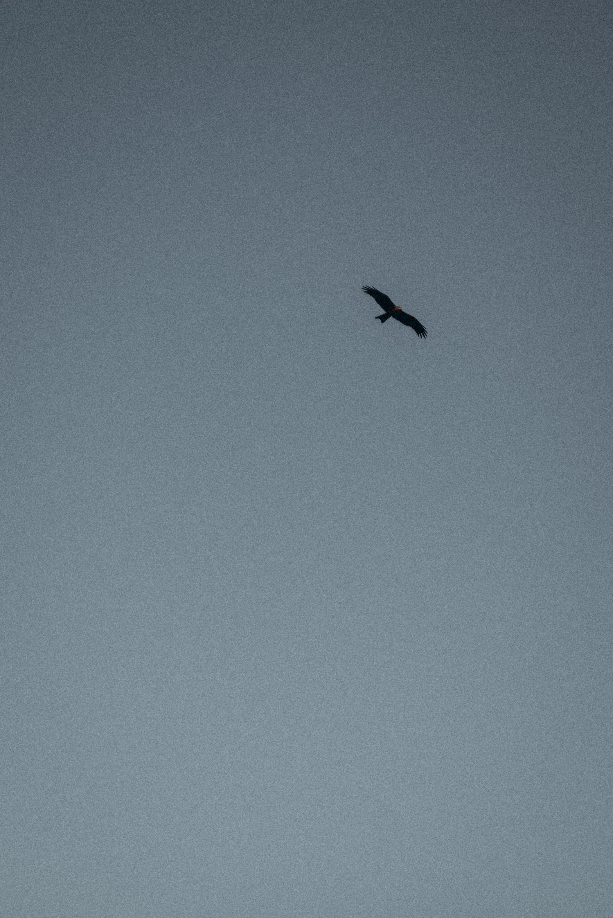 Там где улыбается твое сердце. Свадебный и семейный фотограф в Йошкар-Оле, Питере и Казани Александра Богинич