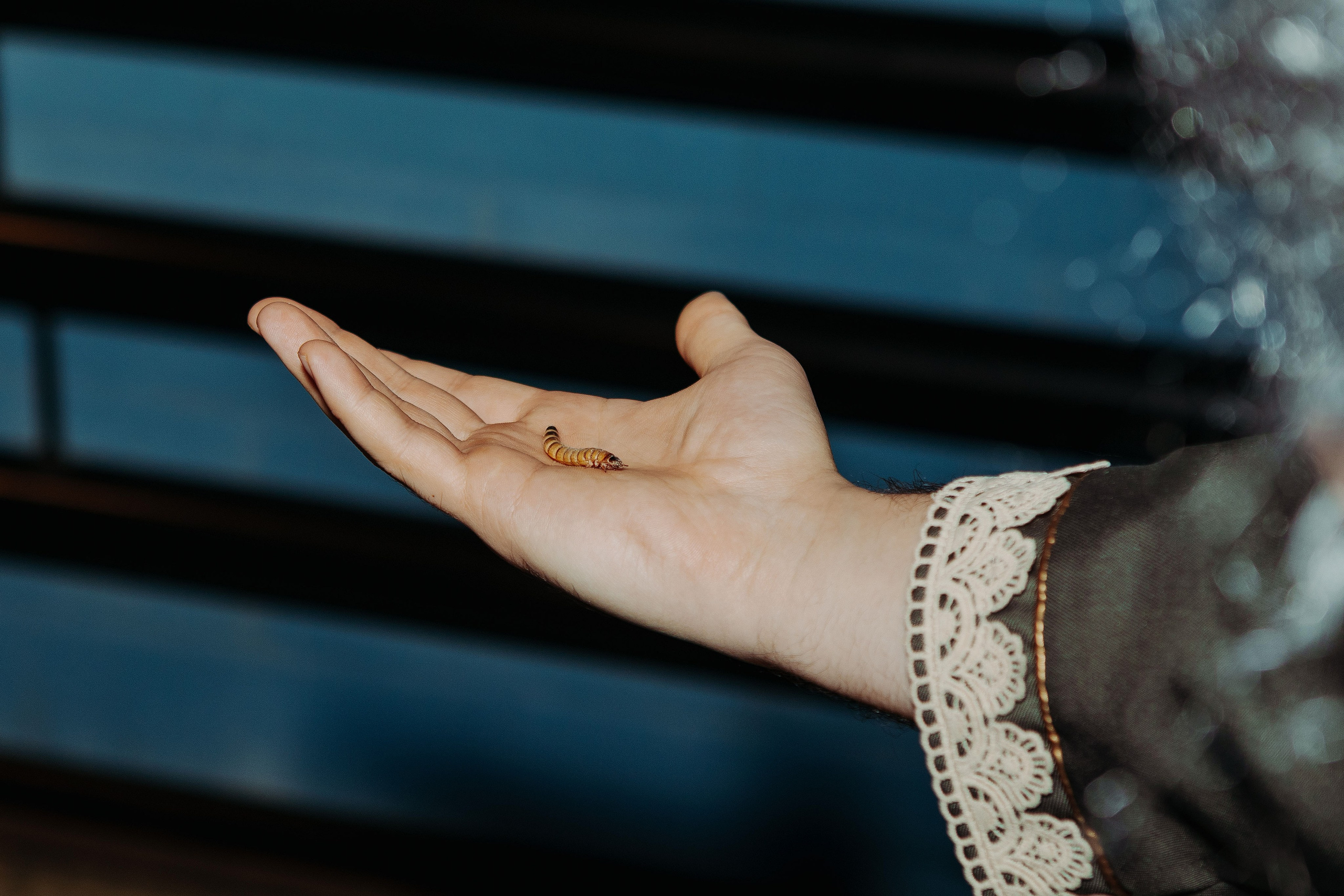 День рождения в стиле Гарри Поттера. Фотограф в Красноярске по выгодной цене