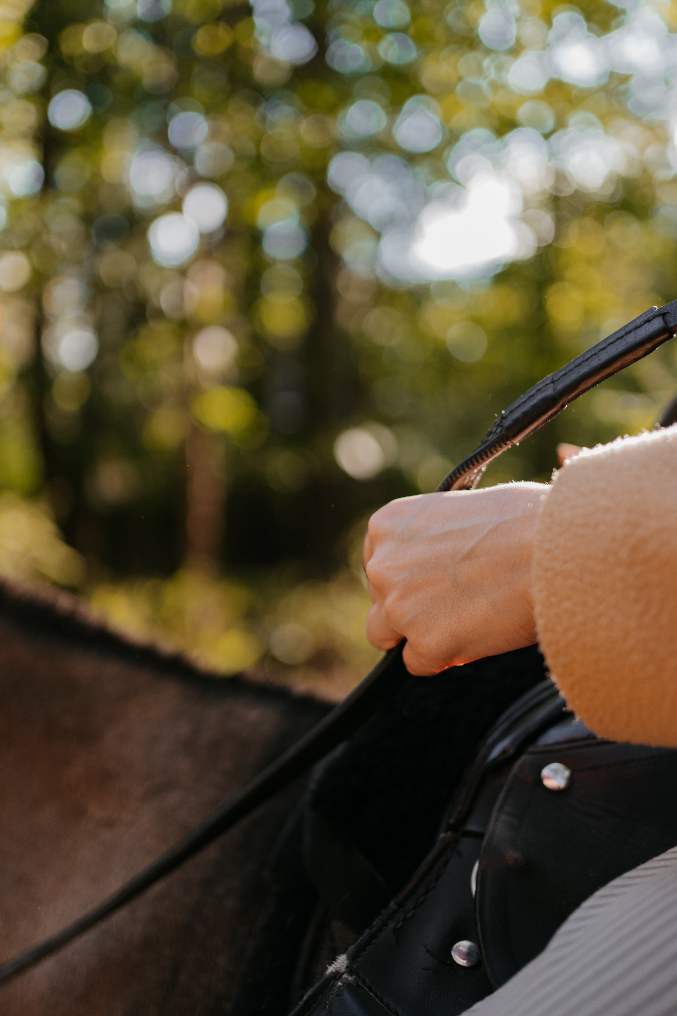 Прогулка в Шуваловском парке. Фотограф Виктория Юленкова