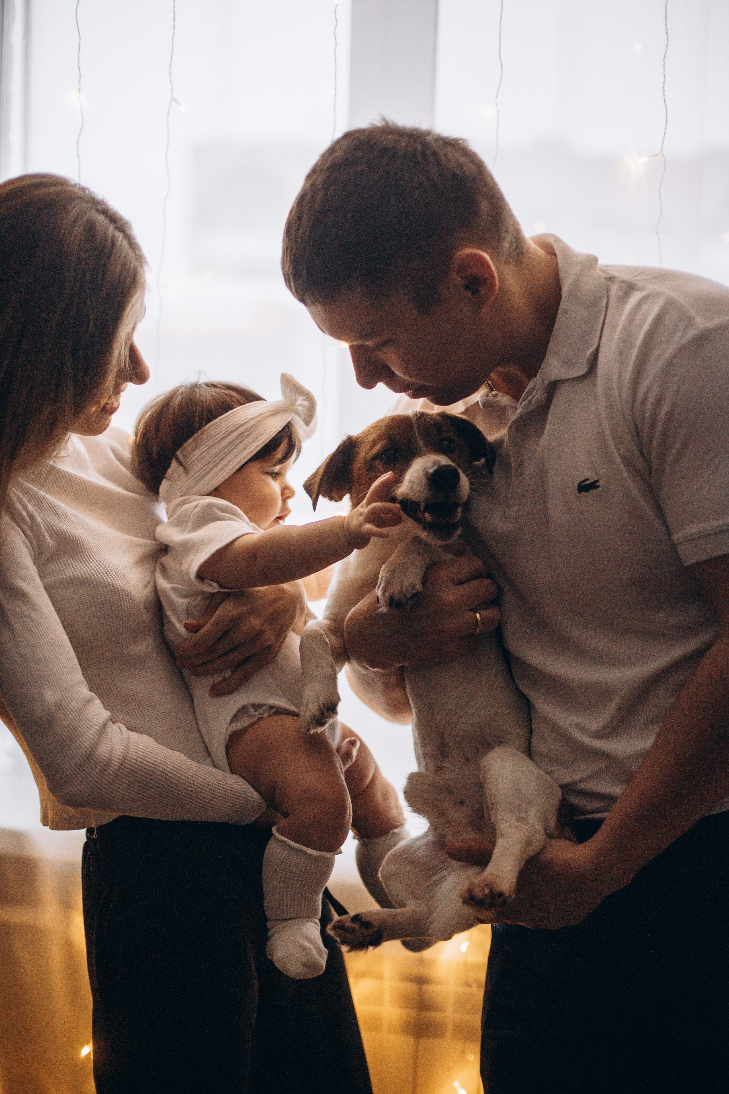 Джой и его семья. Фотограф — Анималист | Санкт-Петербург