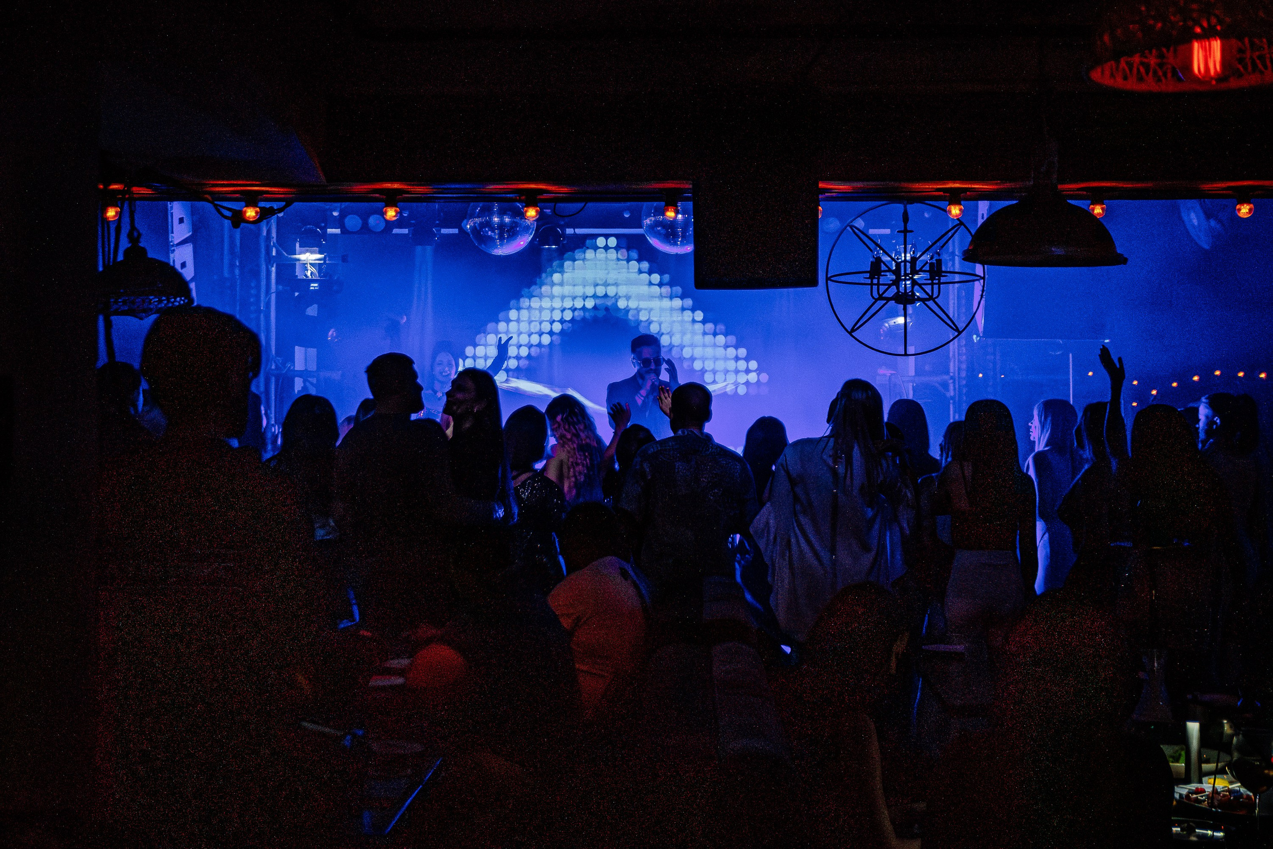 «АВРААМ РУССО"_Чайка на пляже_Ялта_21.06.2025. Аминов Руслан | Фотограф