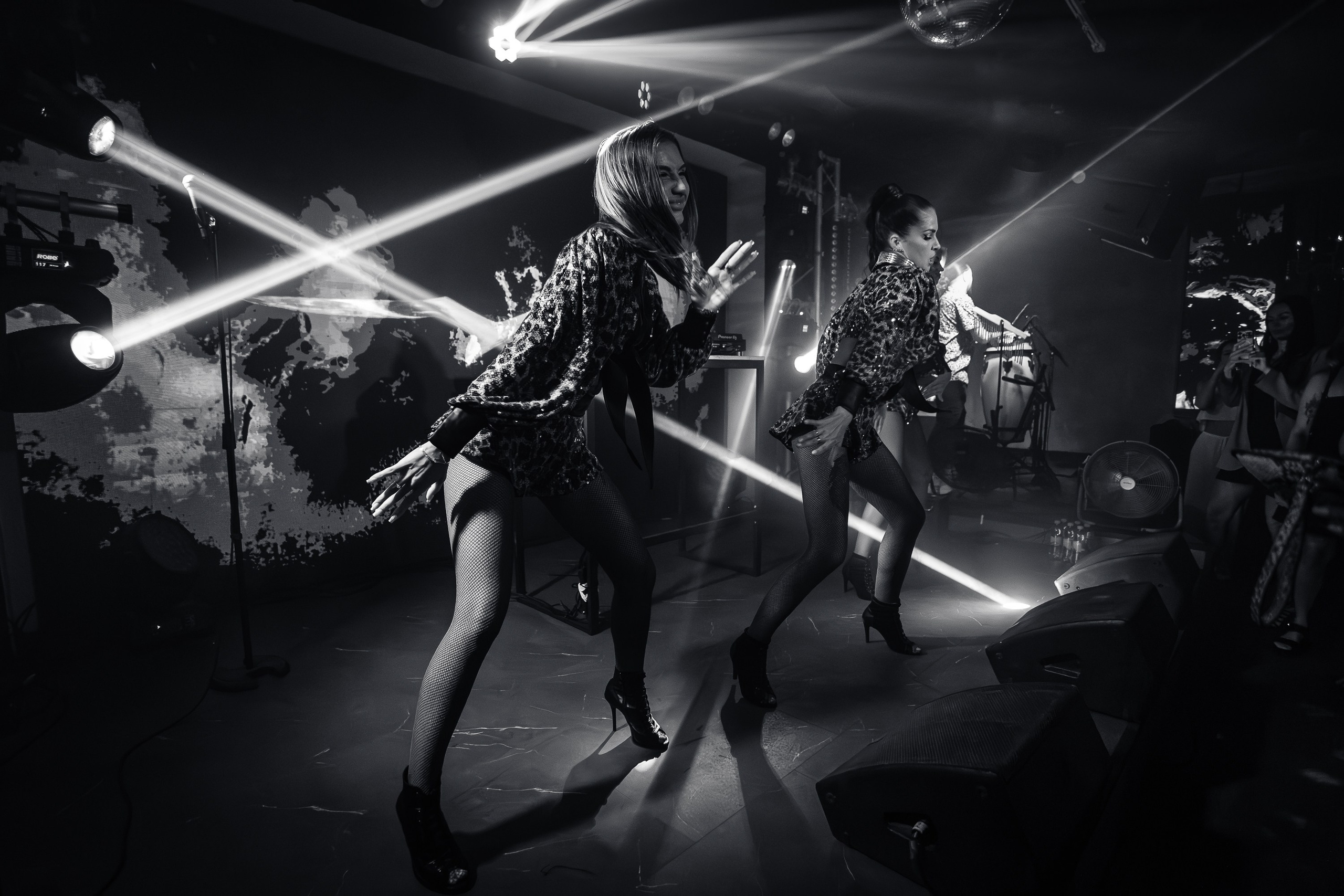 «КРАВЦ"_Чайка на пляже_Ялта_27.08.2025 г. Аминов Руслан | Фотограф