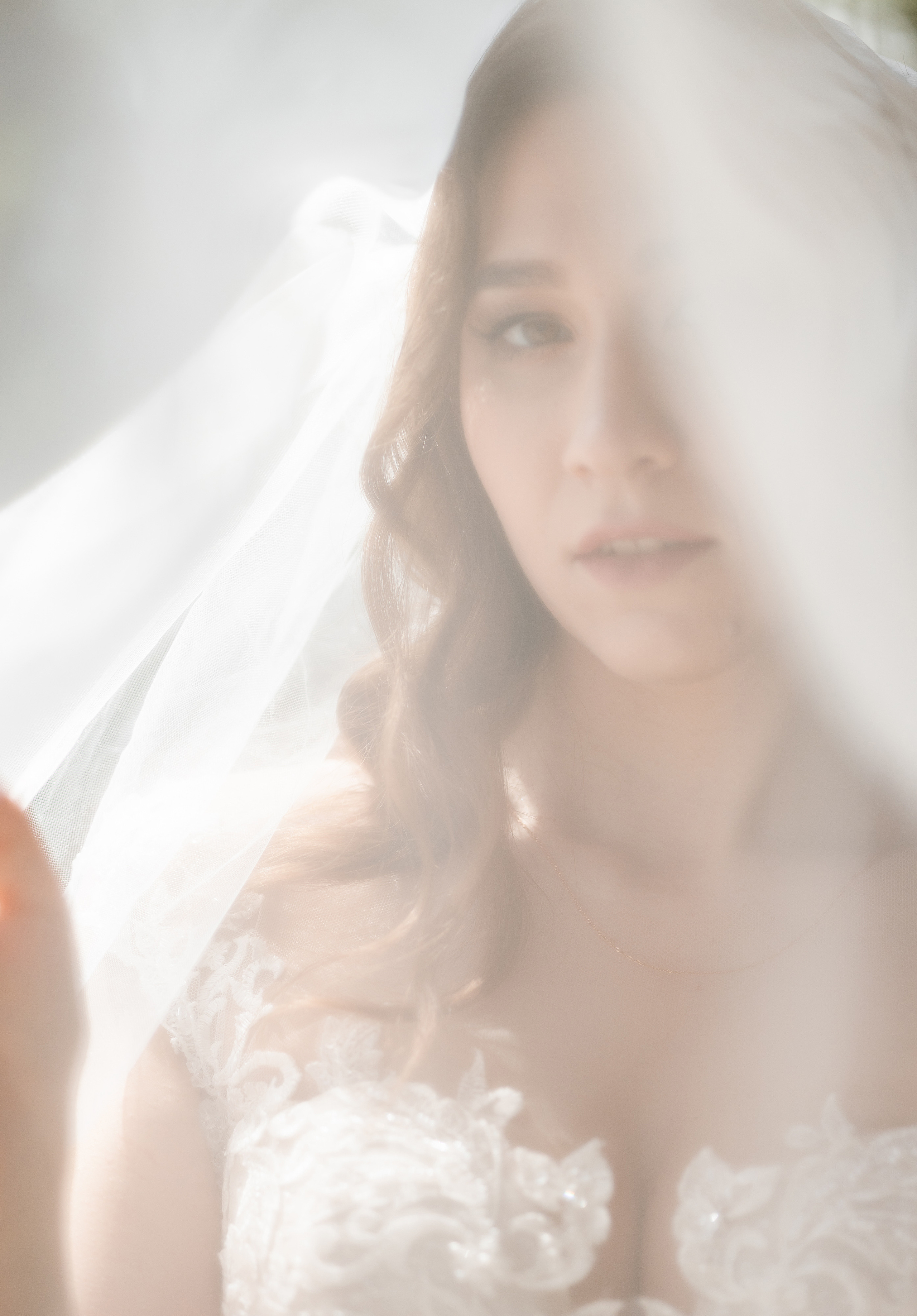 Николай и Виктория. Алексеева Татьяна свадебный фотограф Краснодар, Краснодарский край