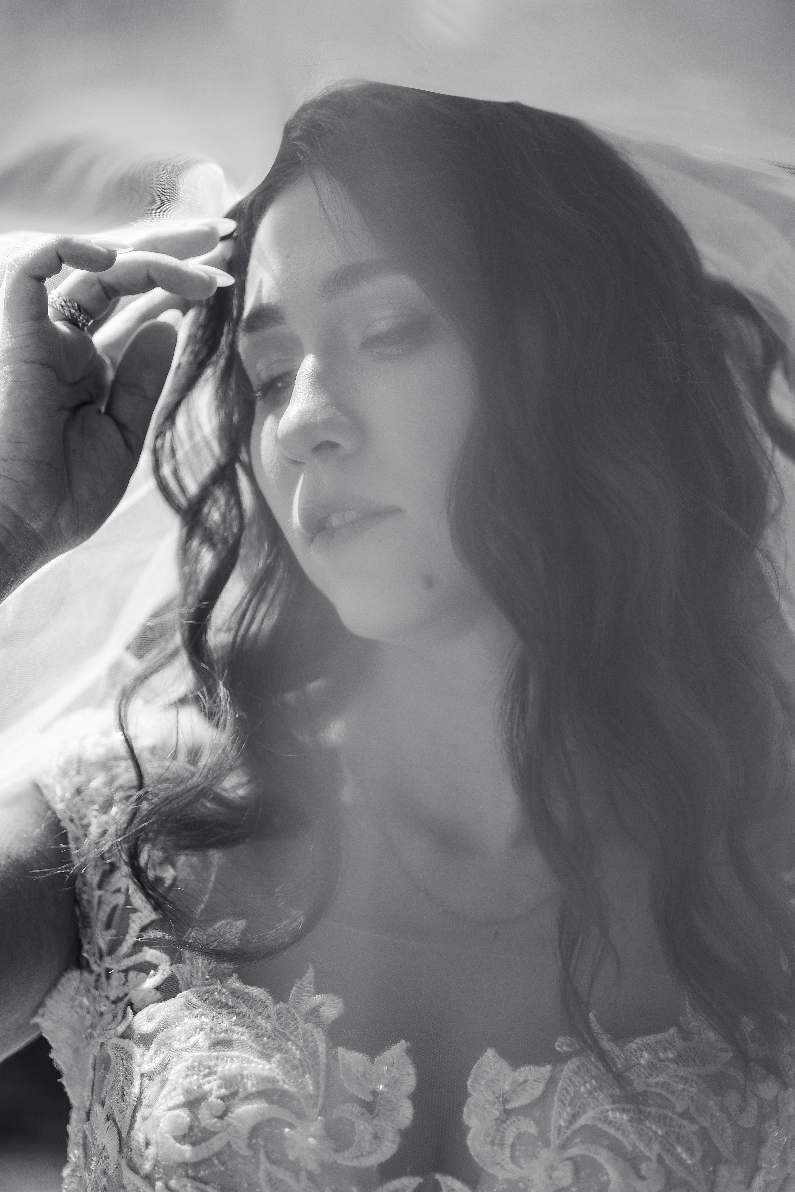 Николай и Виктория. Алексеева Татьяна свадебный фотограф Краснодар, Краснодарский край